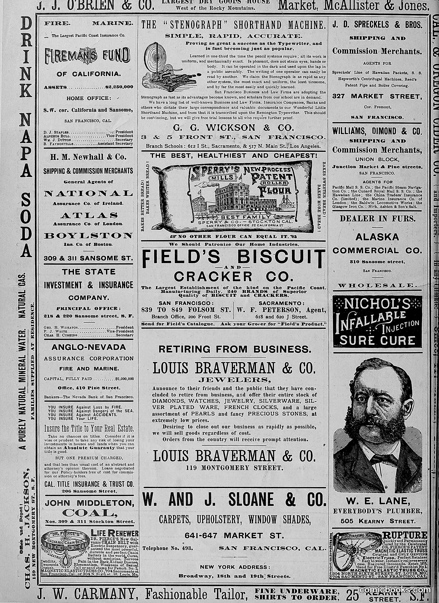 The Wasp — 1888 — page 427 of 552