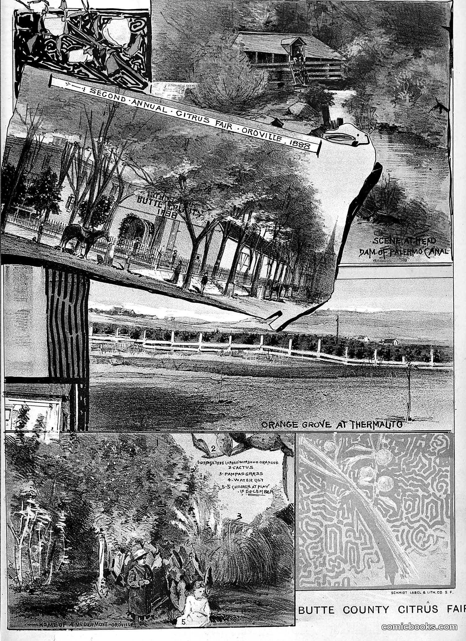 The Wasp — 1888 — page 492 of 552