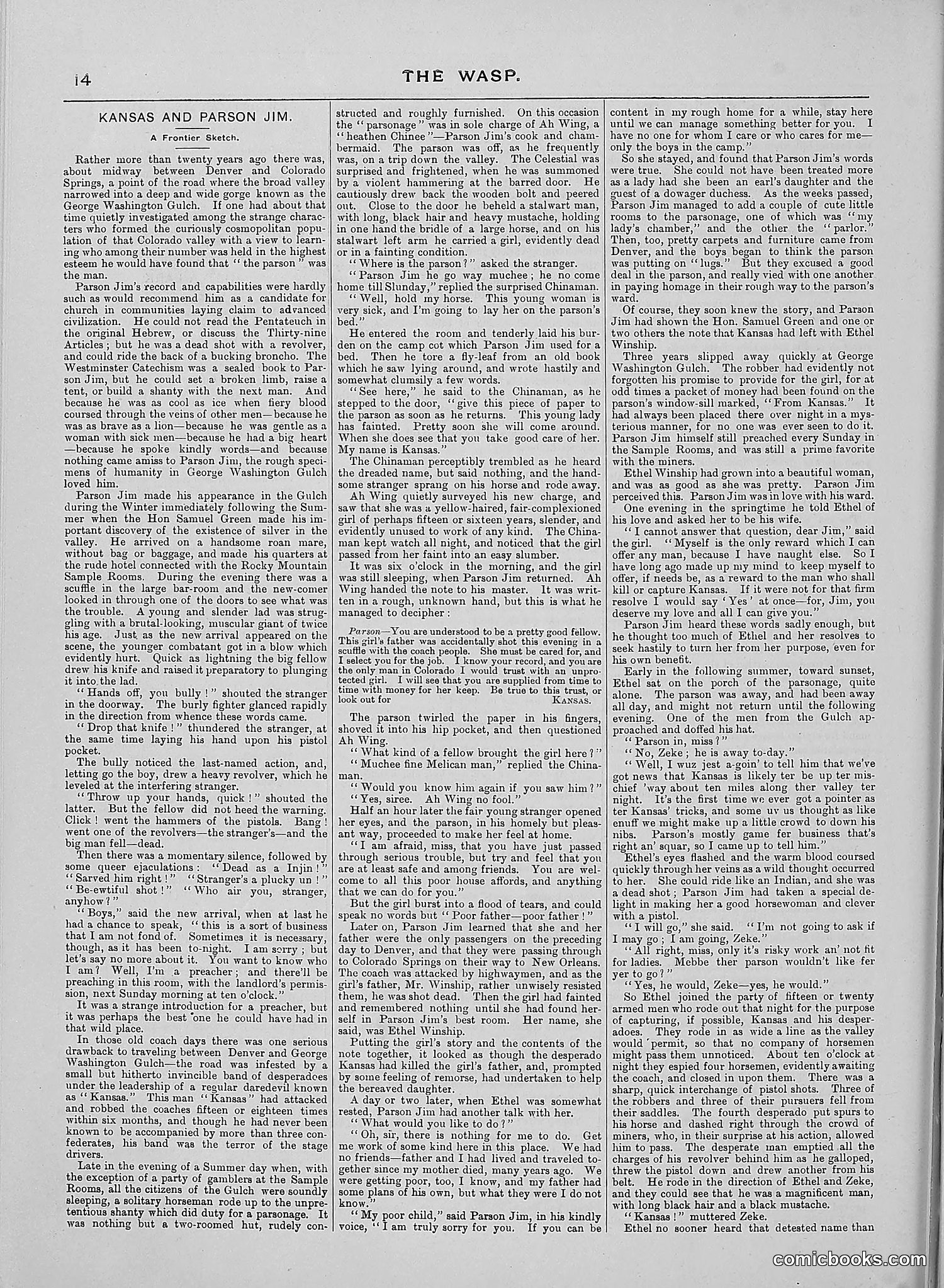 The Wasp — 1888 — page 497 of 552