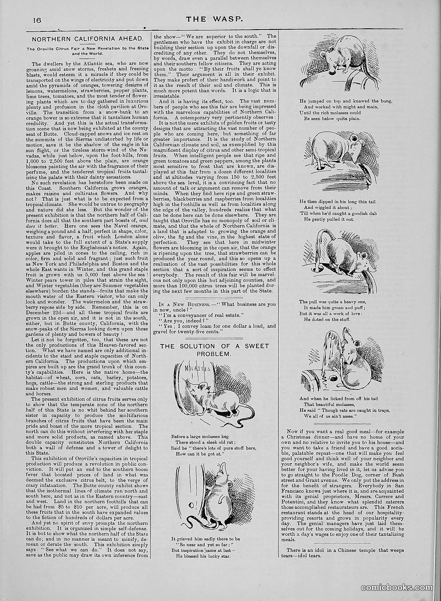 The Wasp — 1888 — page 499 of 552