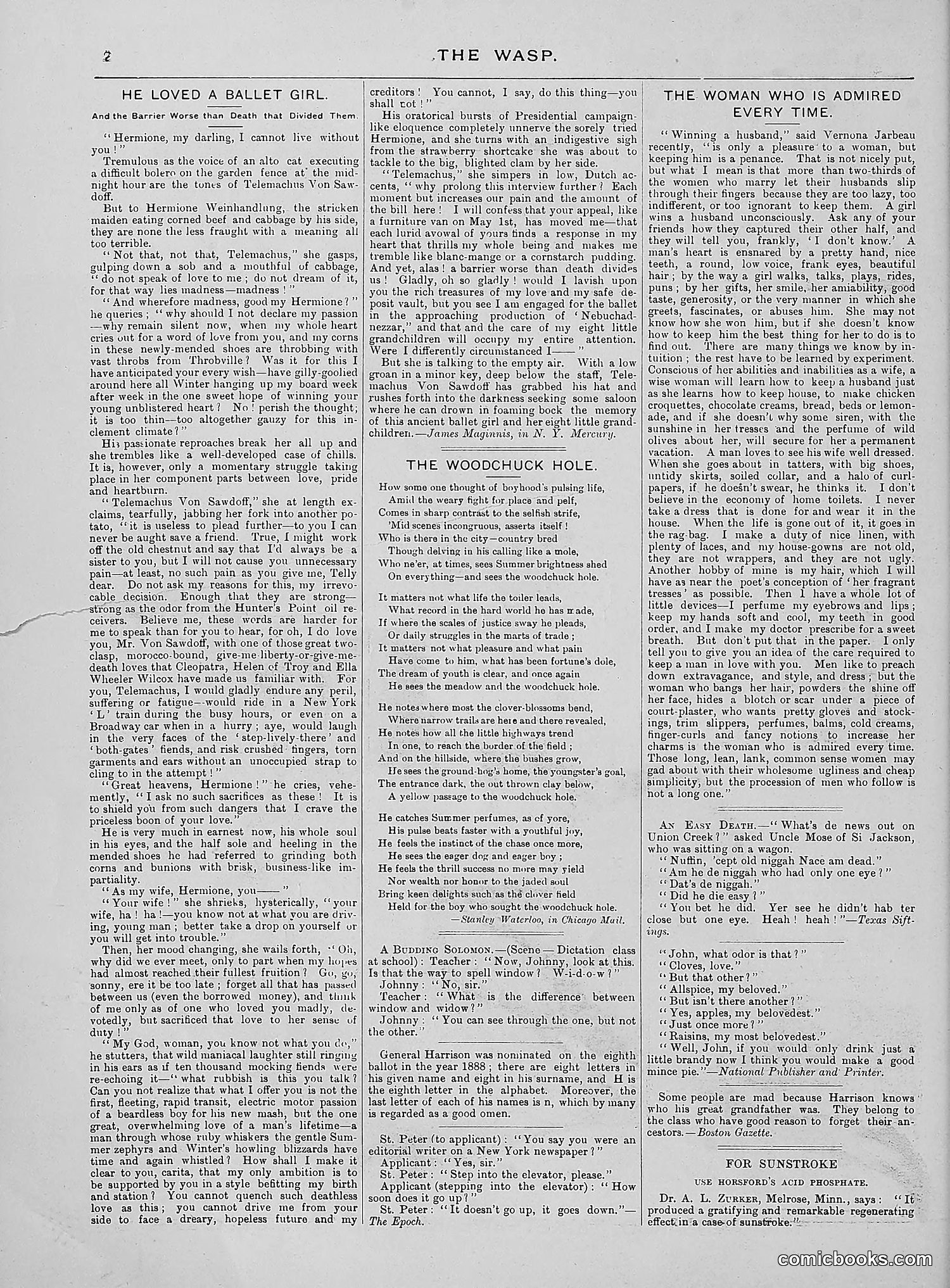 The Wasp — 1888 — page 51 of 552