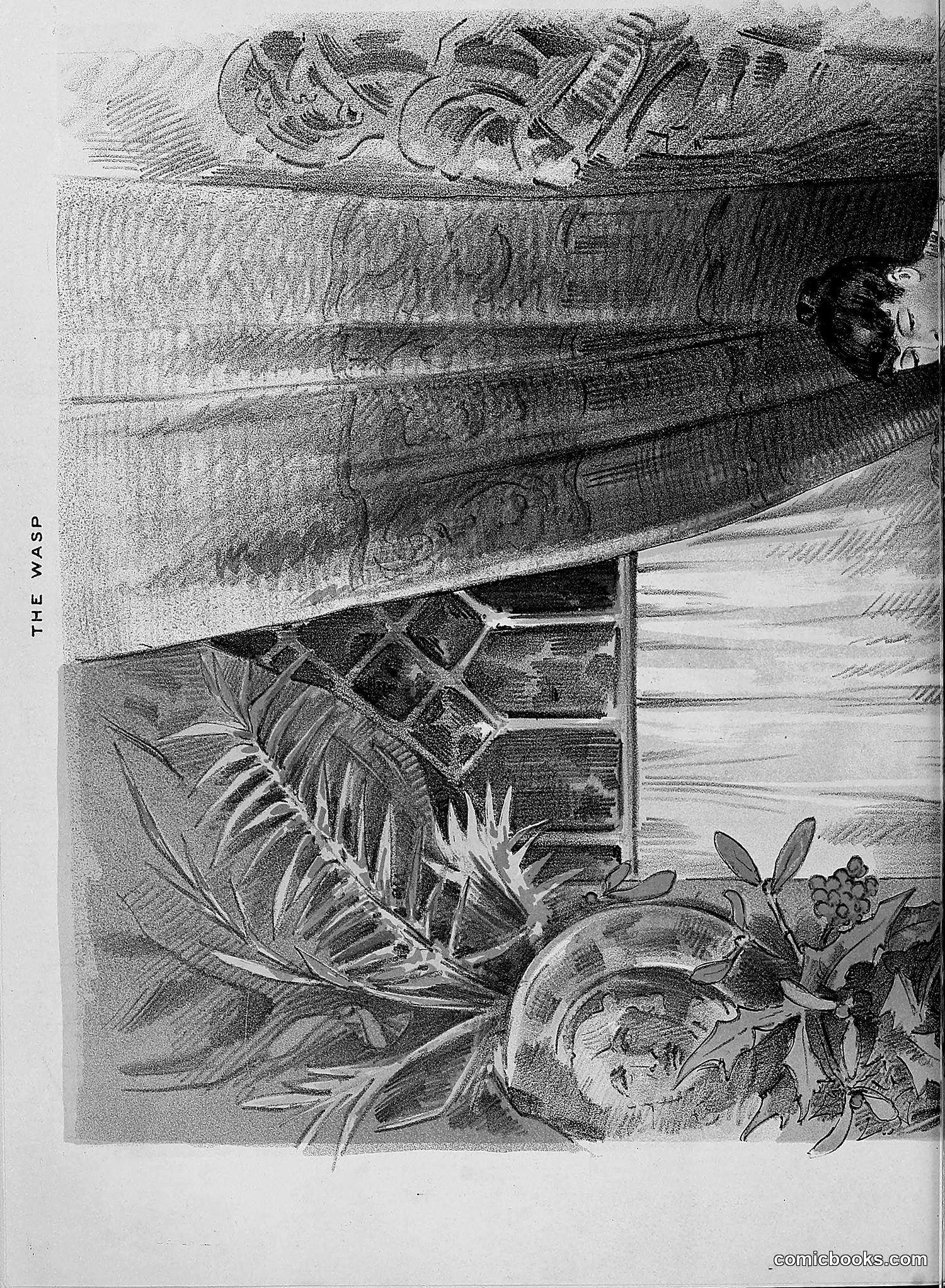The Wasp — 1888 — page 505 of 552
