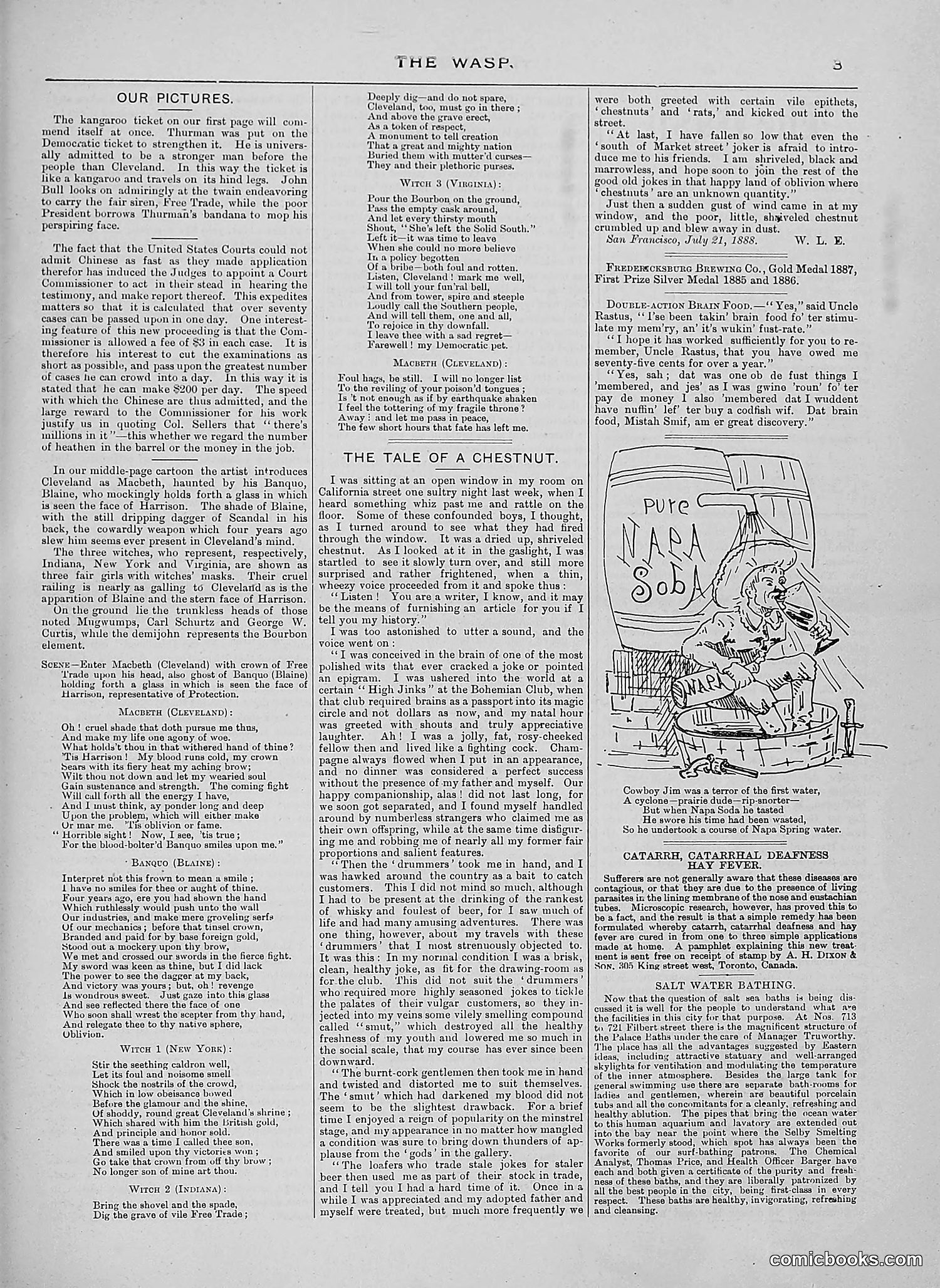 The Wasp — 1888 — page 52 of 552