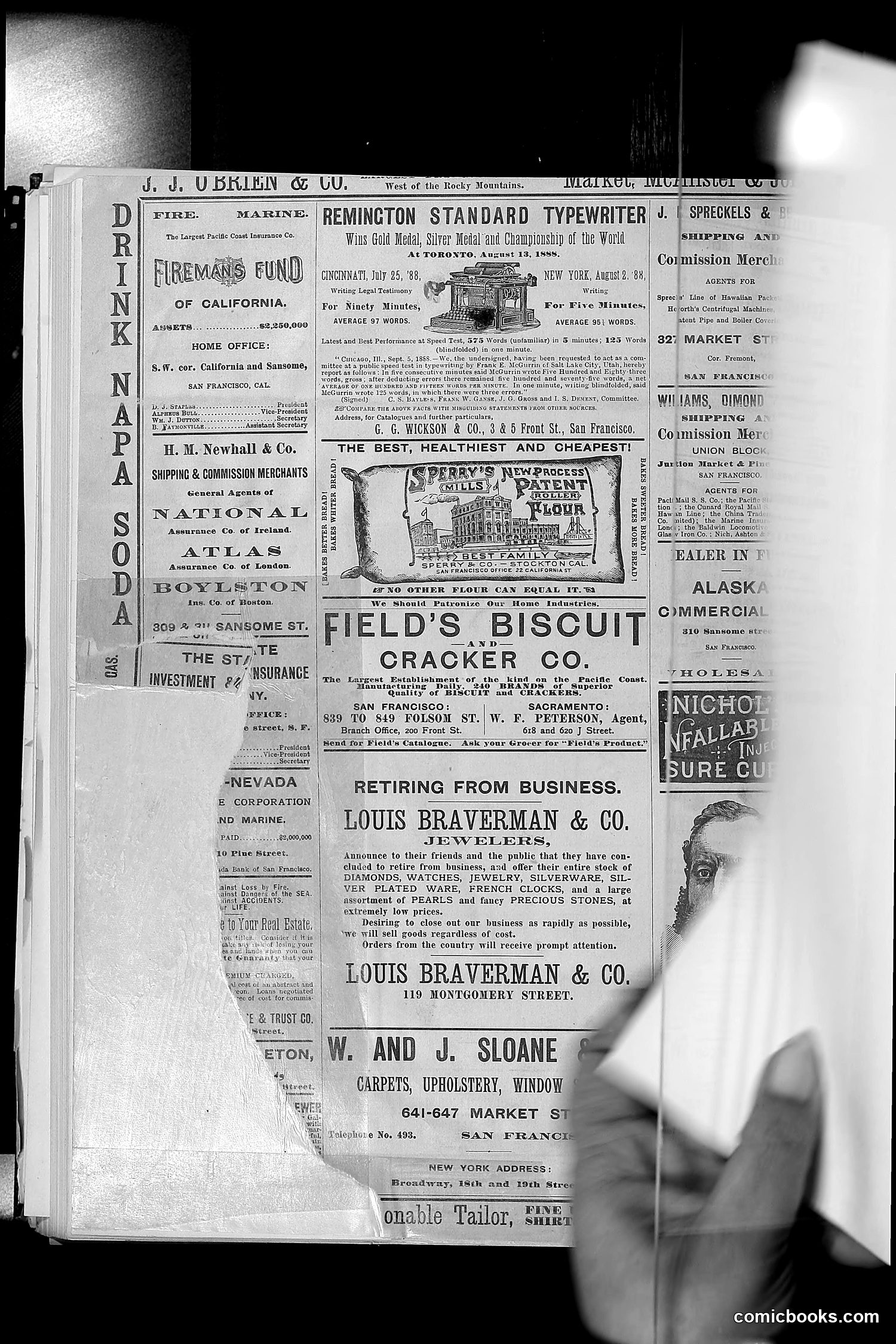 The Wasp — 1888 — page 549 of 552