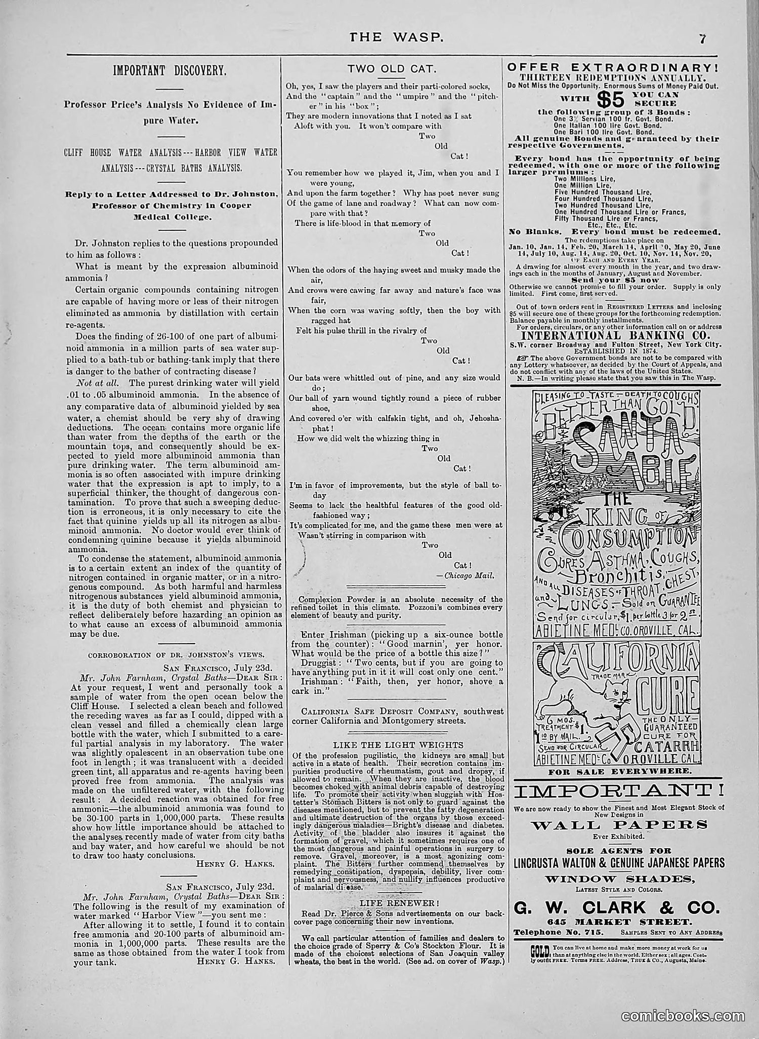 The Wasp — 1888 — page 96 of 552