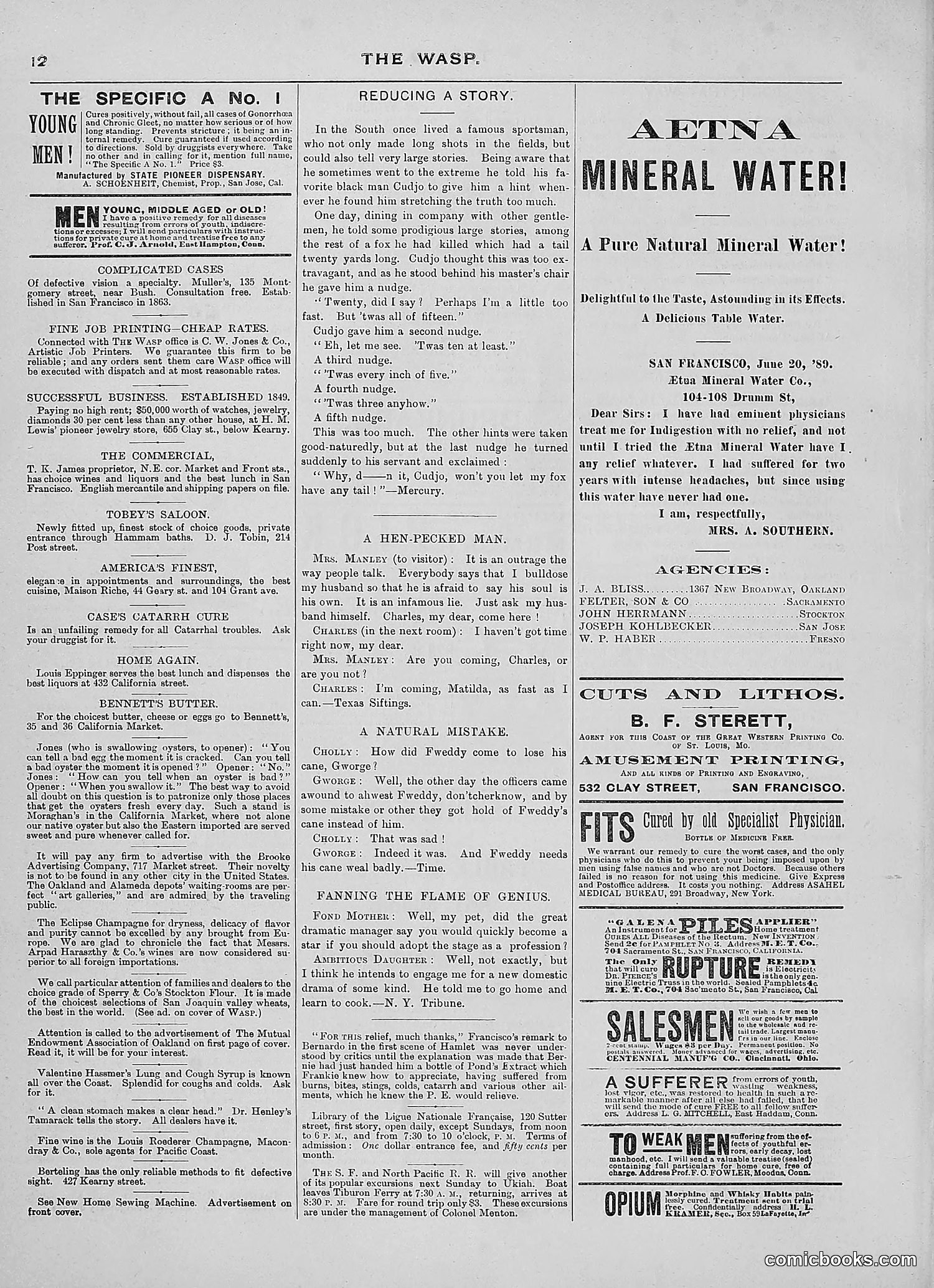 The Wasp — 1889 — page 141 of 450