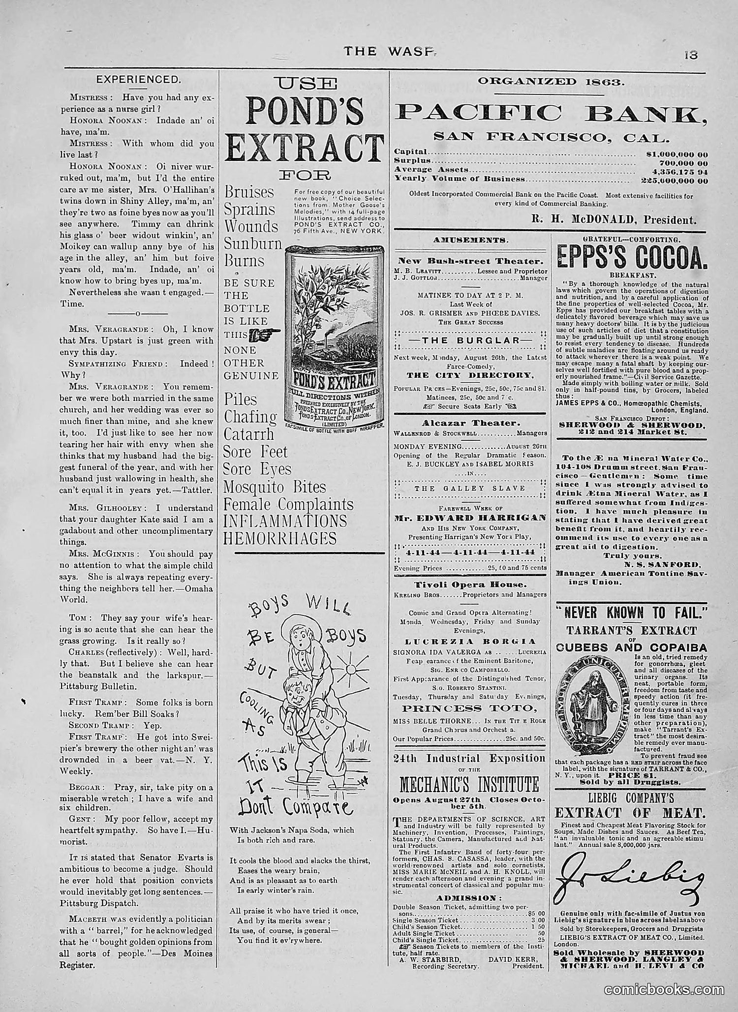 The Wasp — 1889 — page 142 of 450