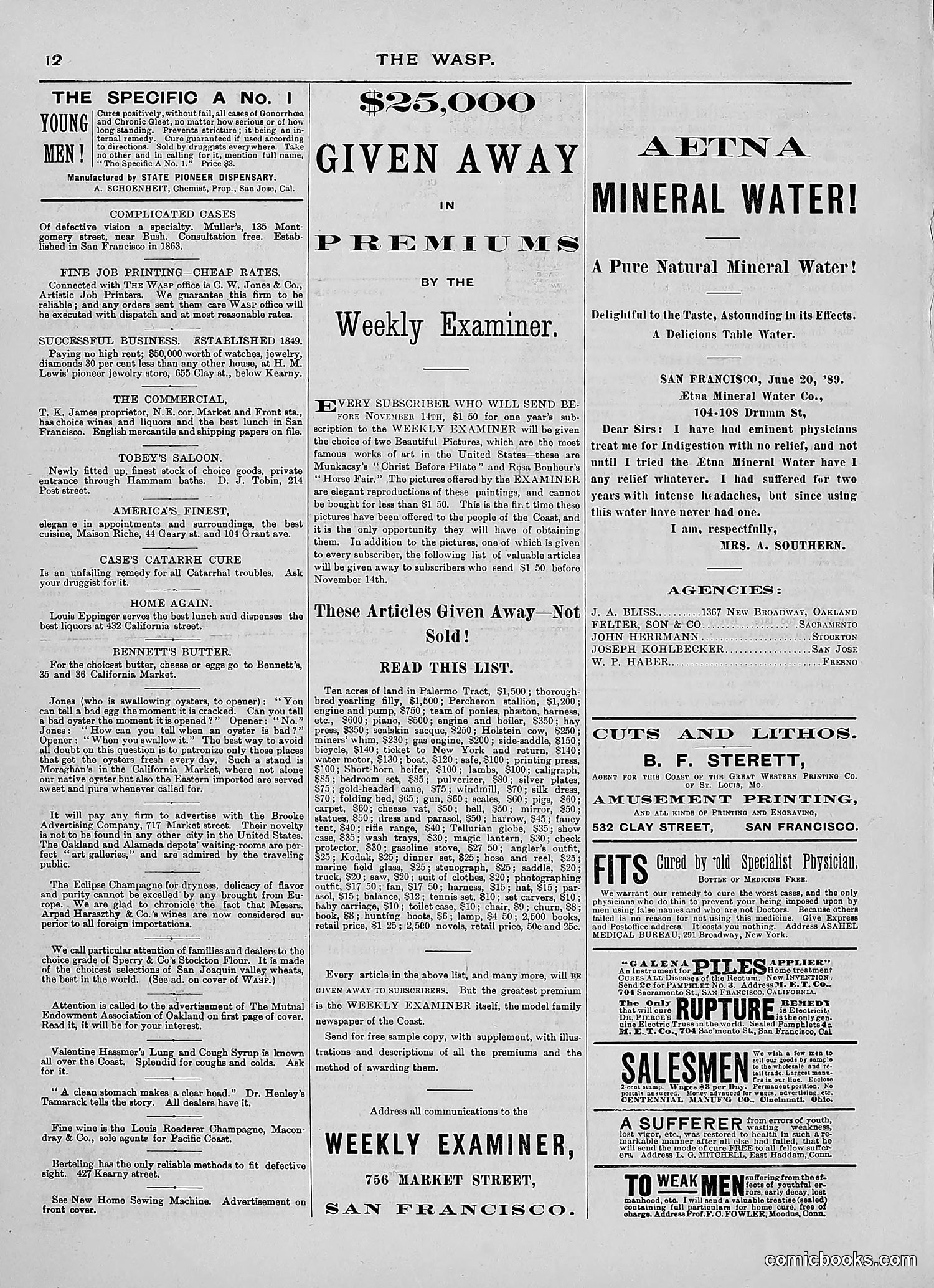 The Wasp — 1889 — page 157 of 450