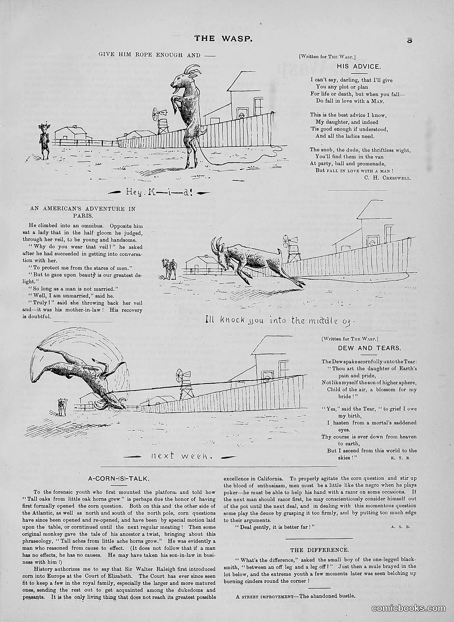 The Wasp — 1889 — page 164 of 450
