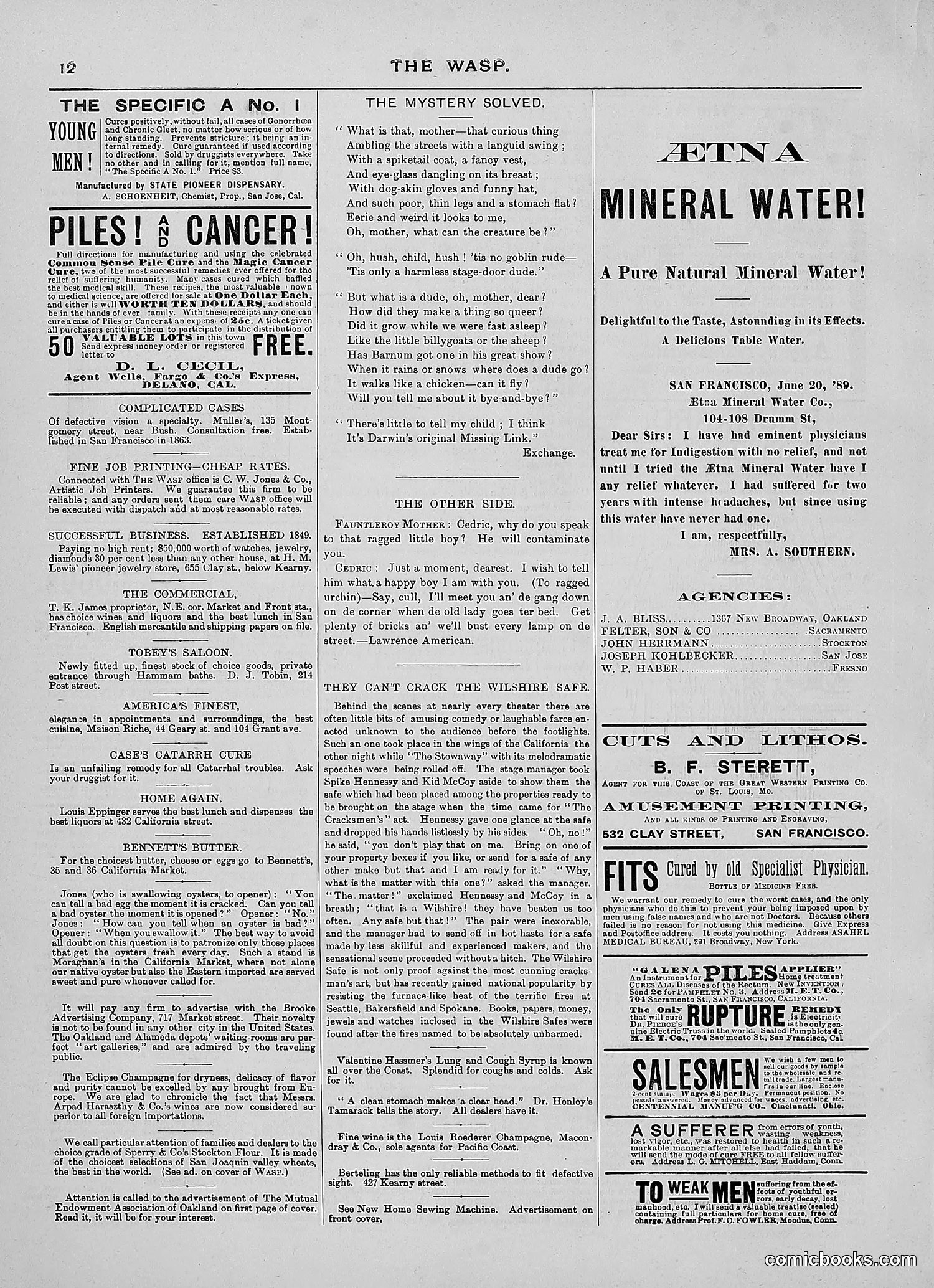 The Wasp — 1889 — page 173 of 450