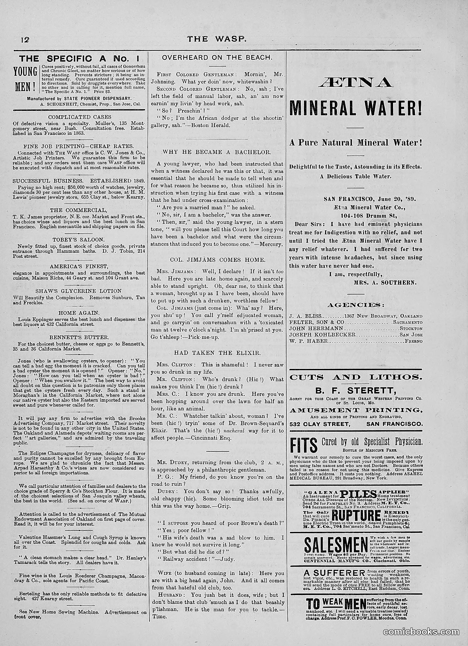 The Wasp — 1889 — page 191 of 450