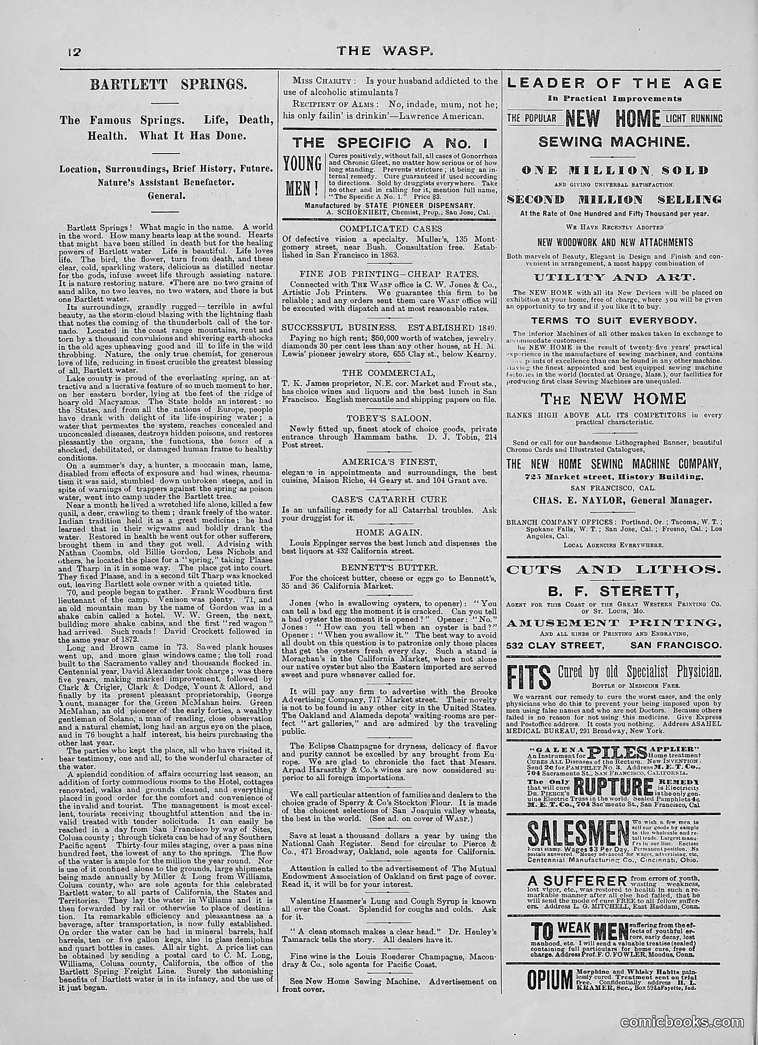 The Wasp — 1889 — page 23 of 450