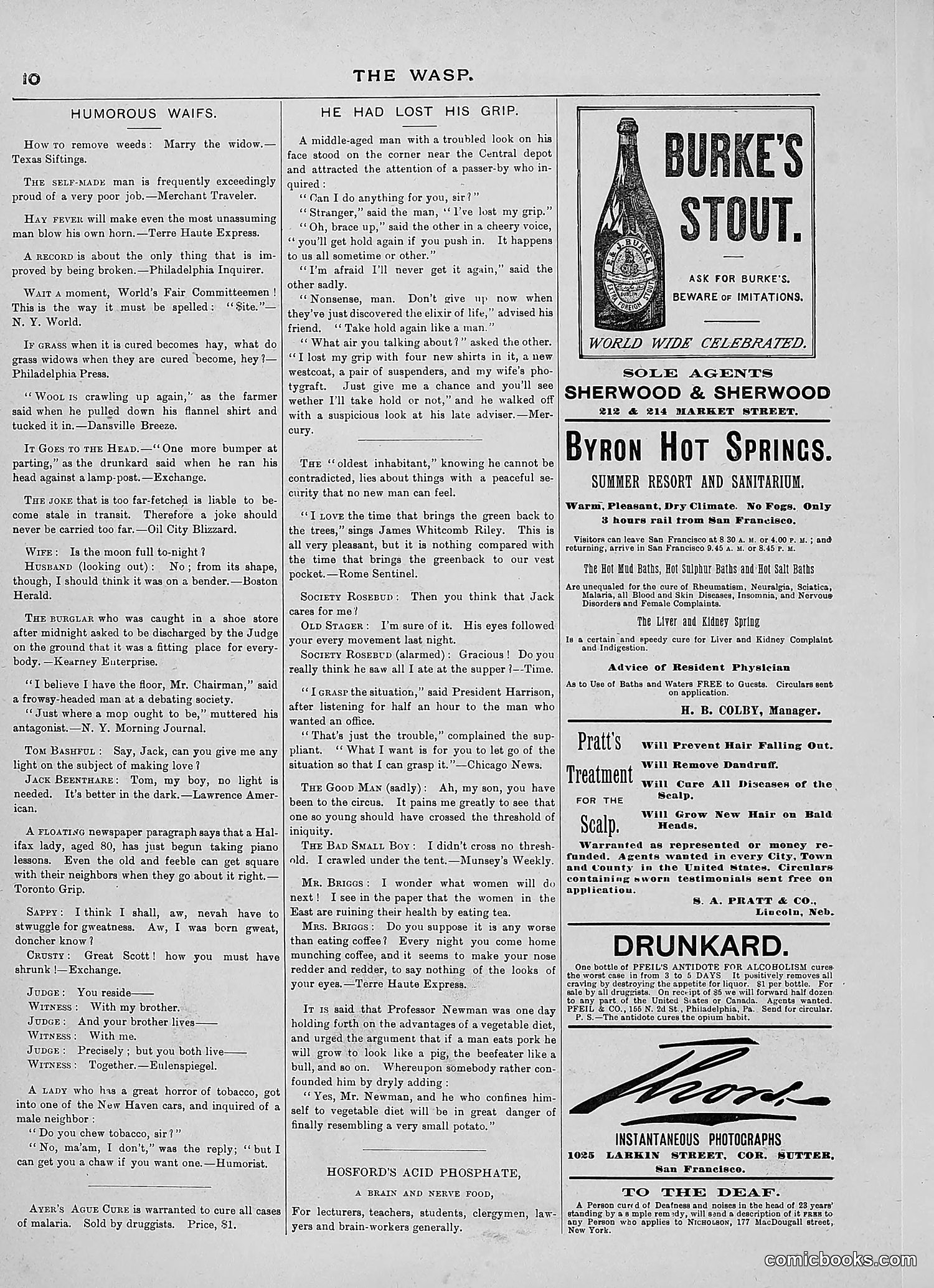The Wasp — 1889 — page 221 of 450