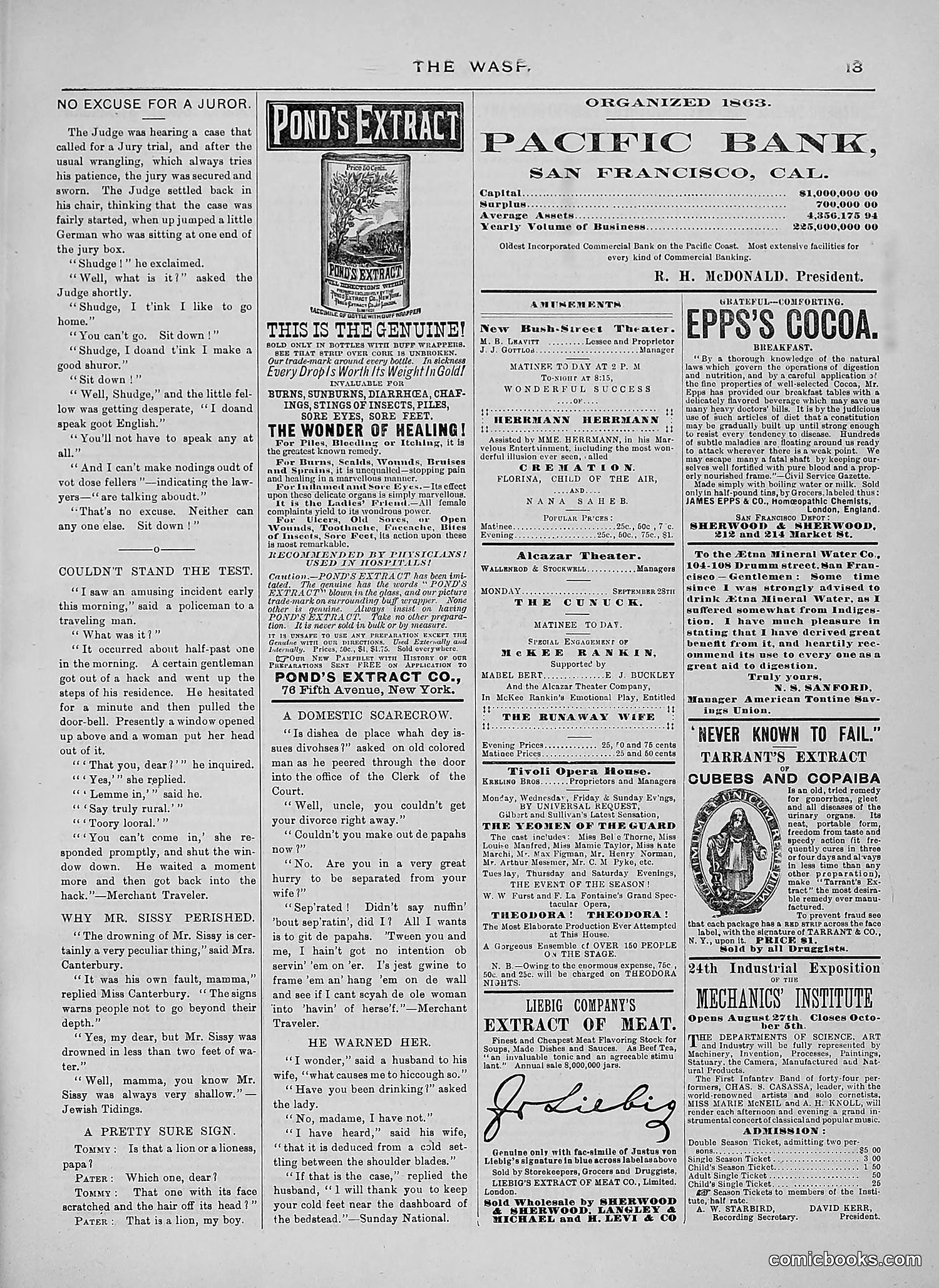 The Wasp — 1889 — page 224 of 450