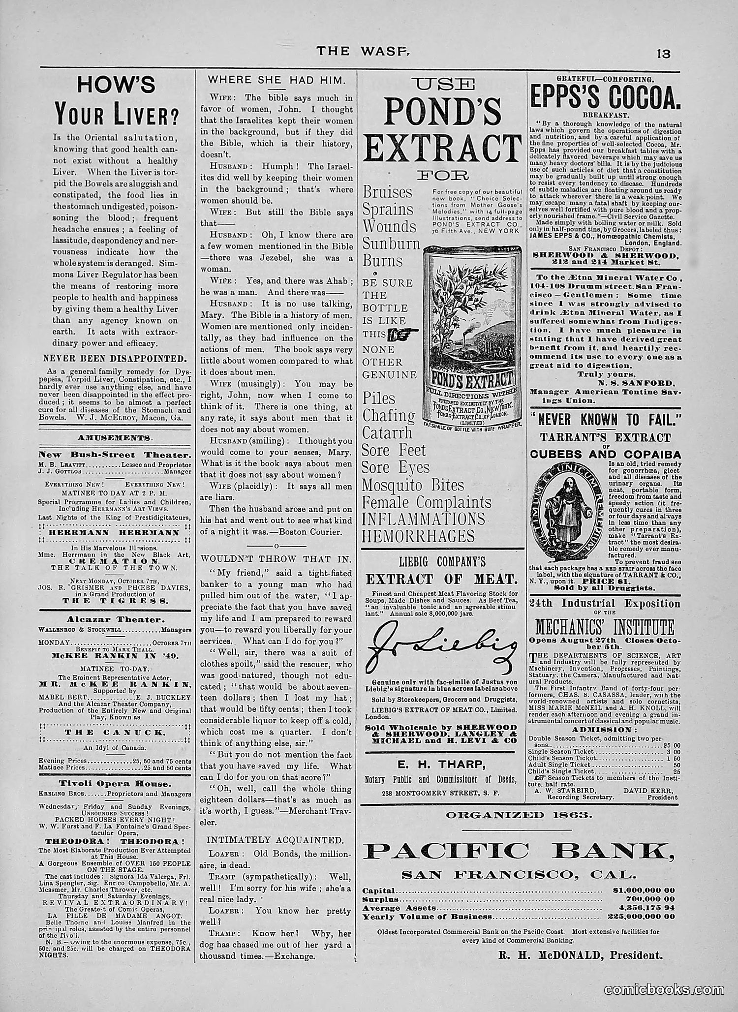 The Wasp — 1889 — page 240 of 450