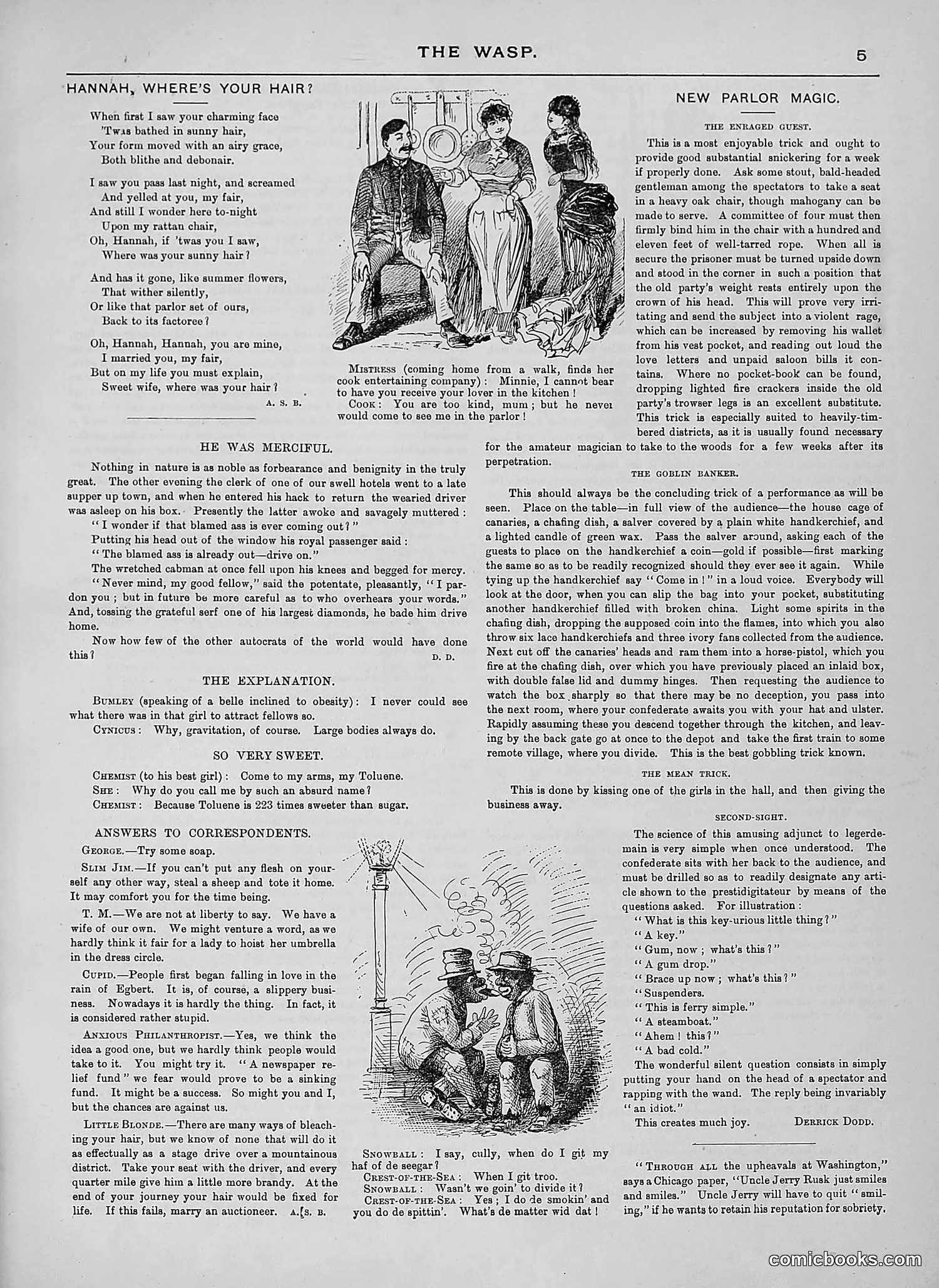 The Wasp — 1889 — page 248 of 450