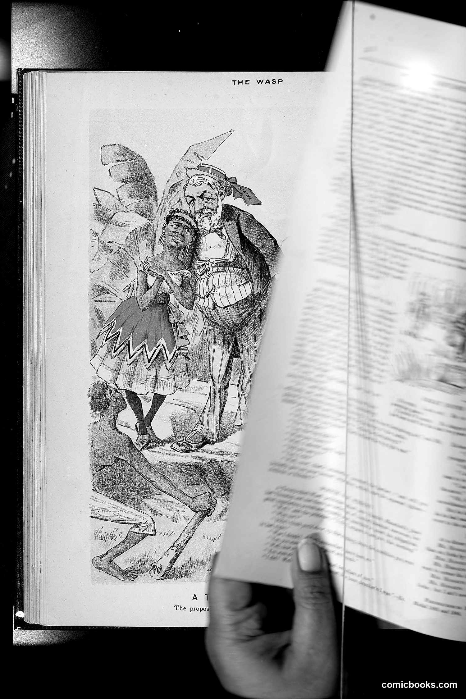 The Wasp — 1889 — page 259 of 450