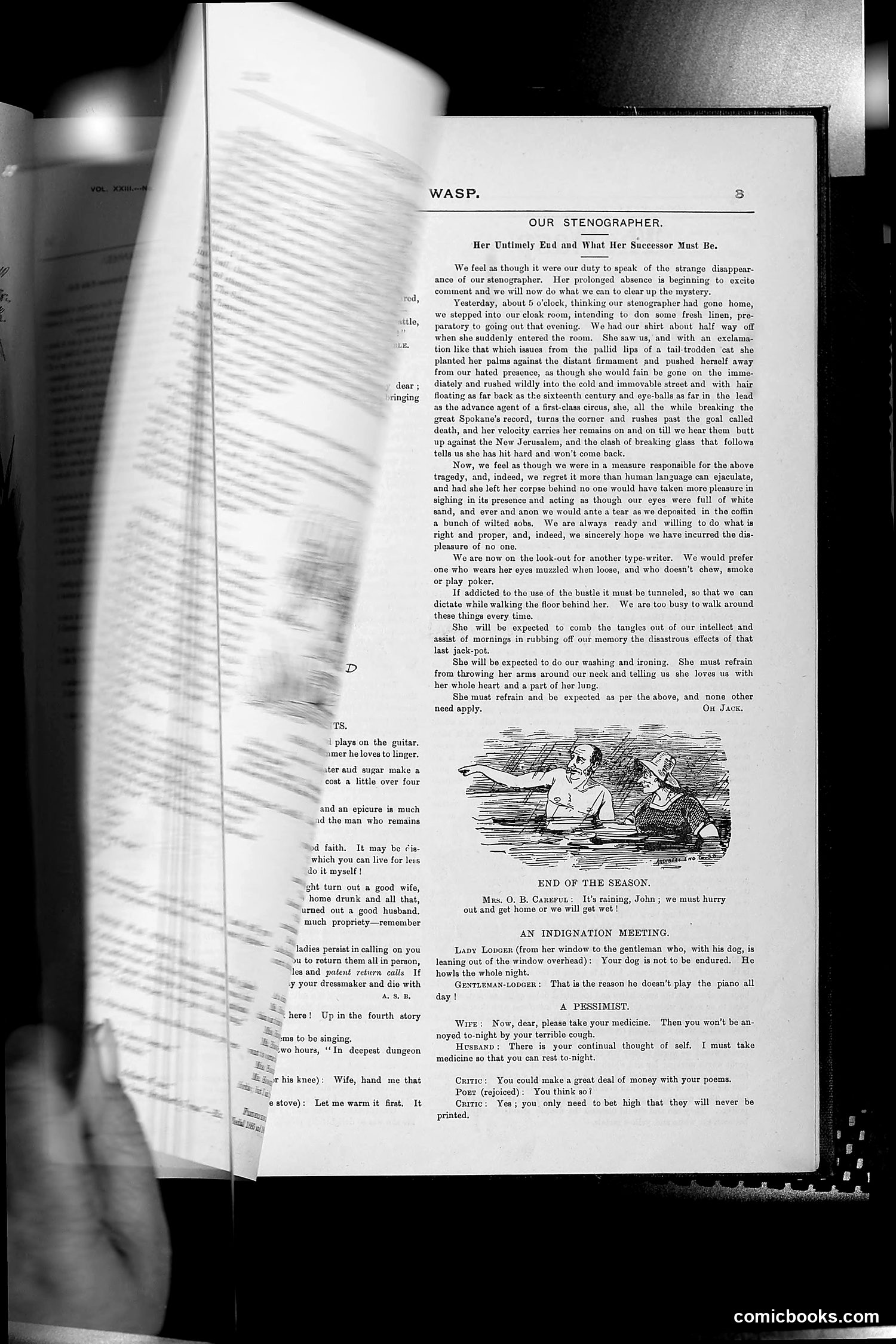 The Wasp — 1889 — page 260 of 450
