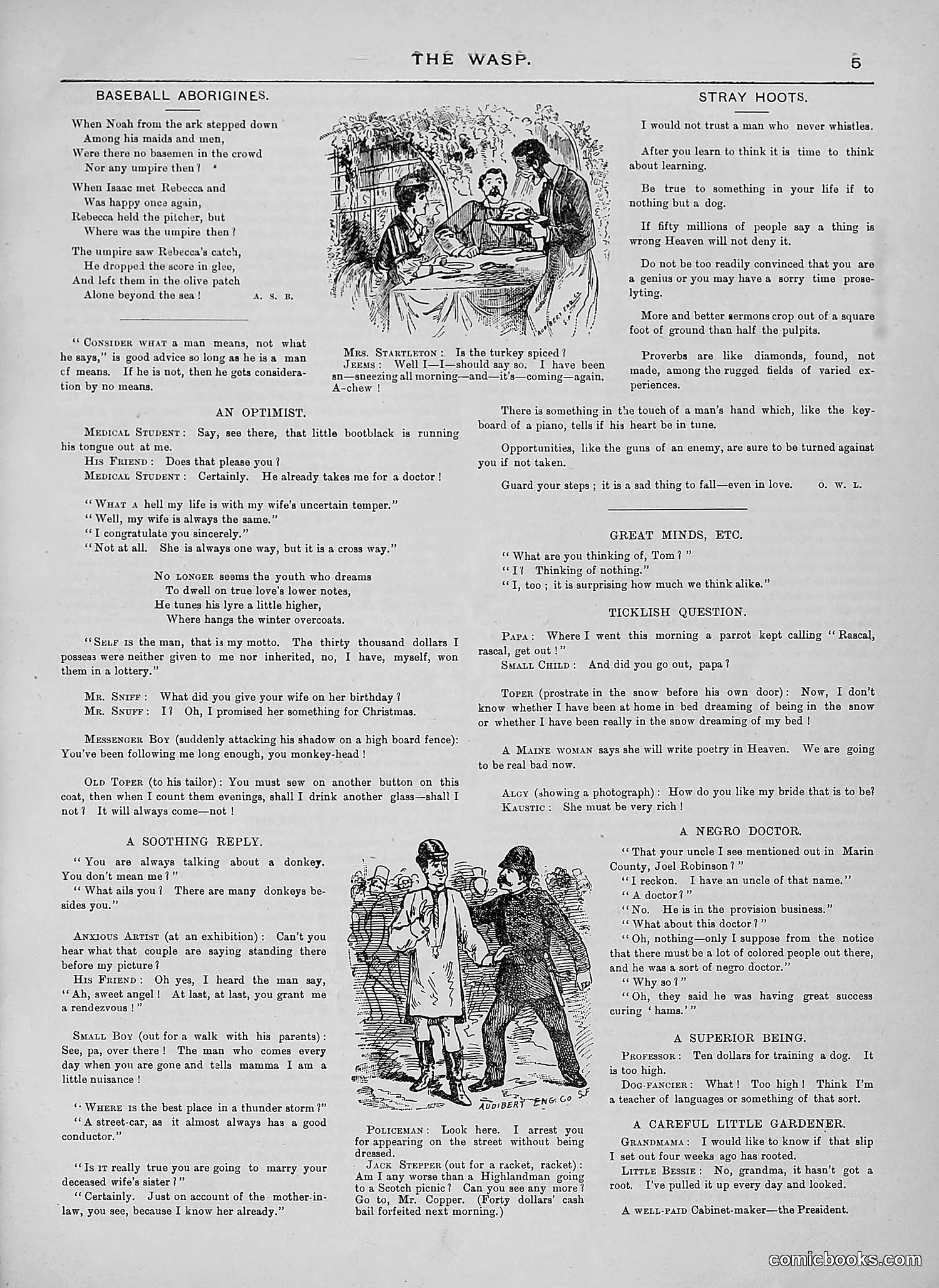 The Wasp — 1889 — page 264 of 450