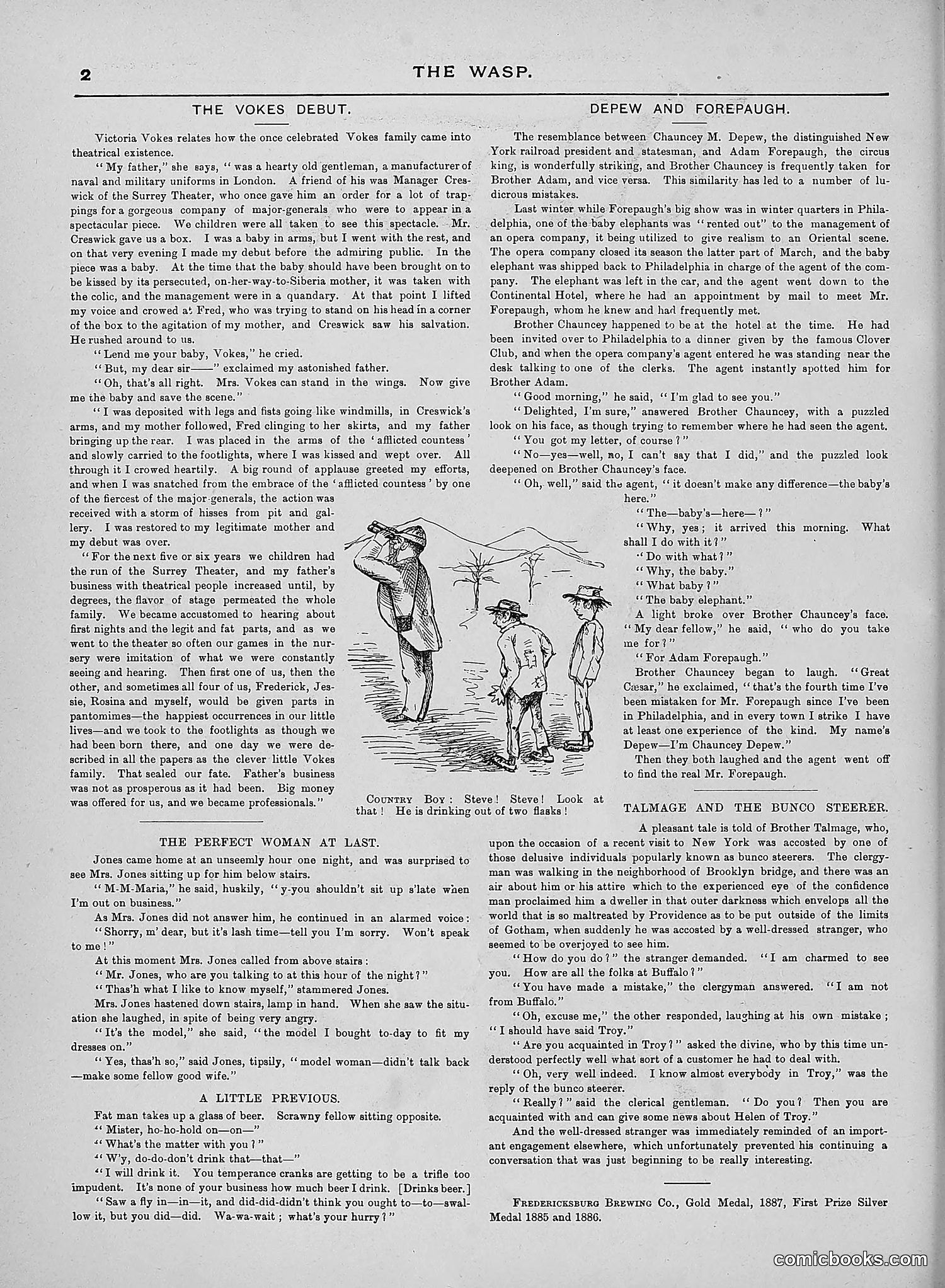 The Wasp — 1889 — page 295 of 450