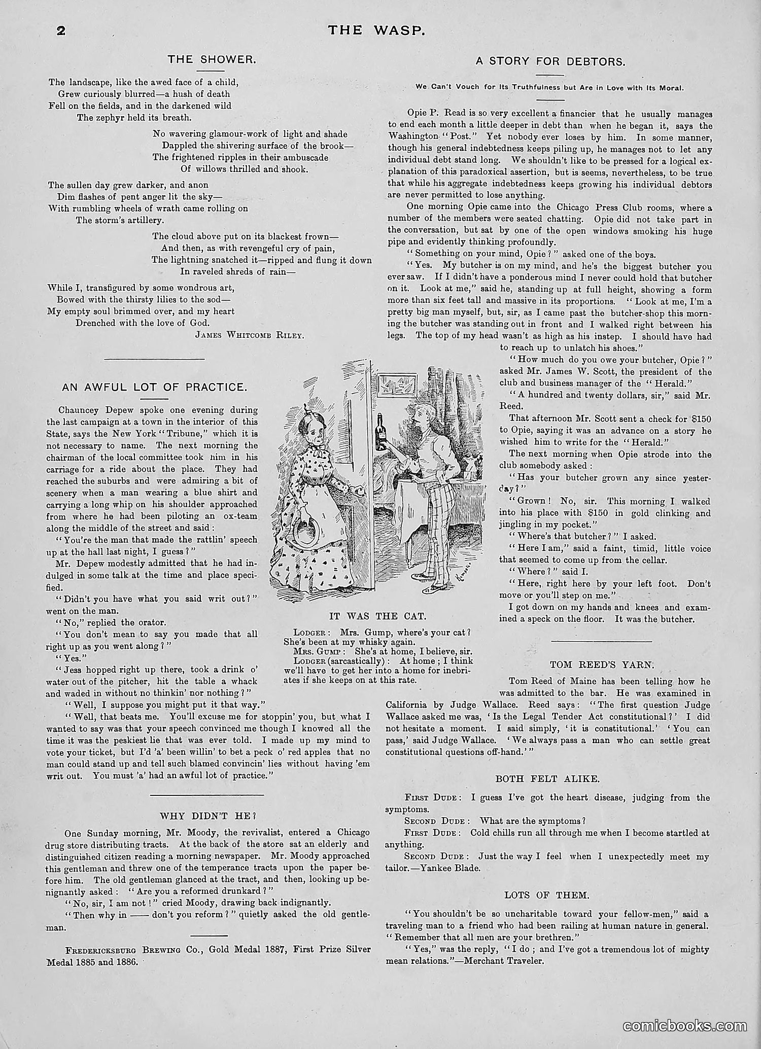 The Wasp — 1889 — page 31 of 450