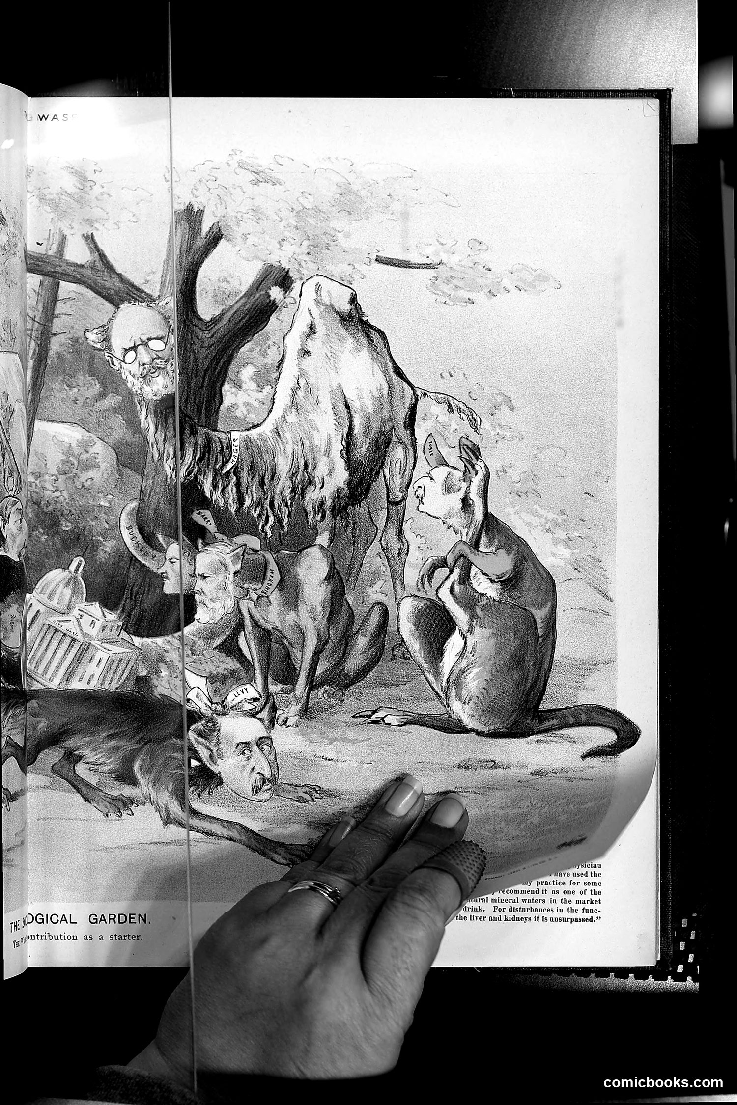 The Wasp — 1889 — page 320 of 450