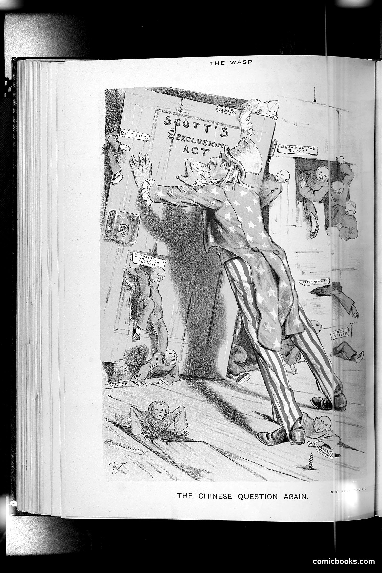 The Wasp — 1889 — page 343 of 450