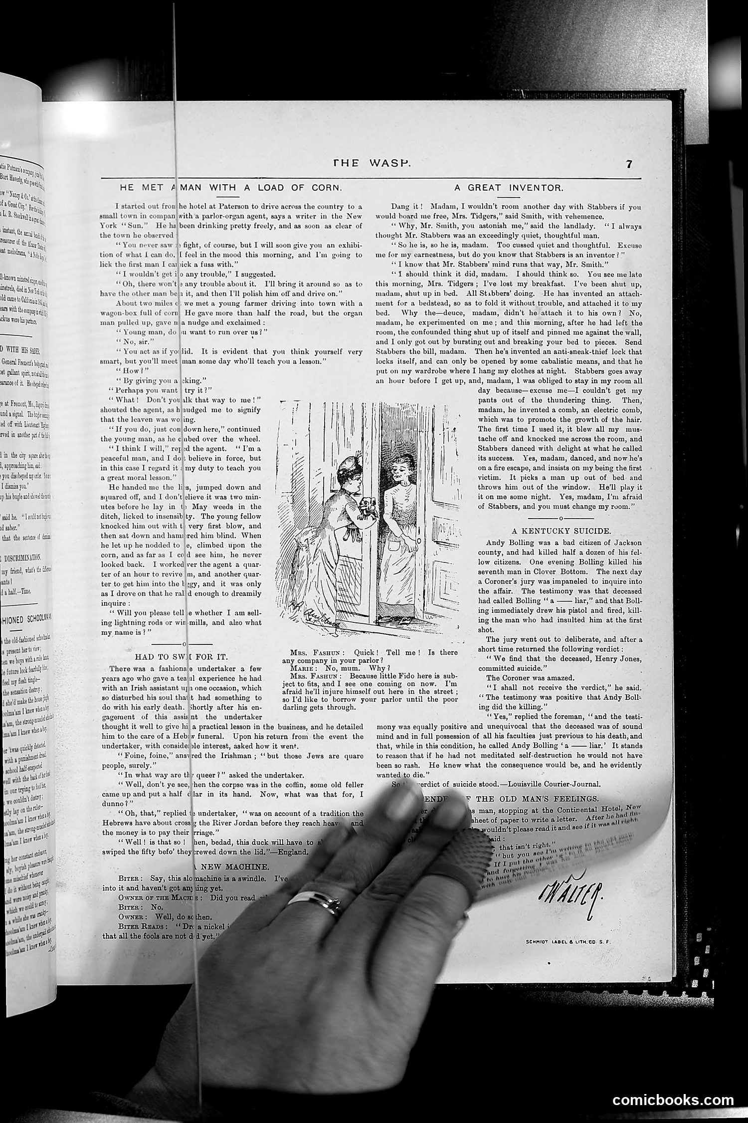 The Wasp — 1889 — page 354 of 450