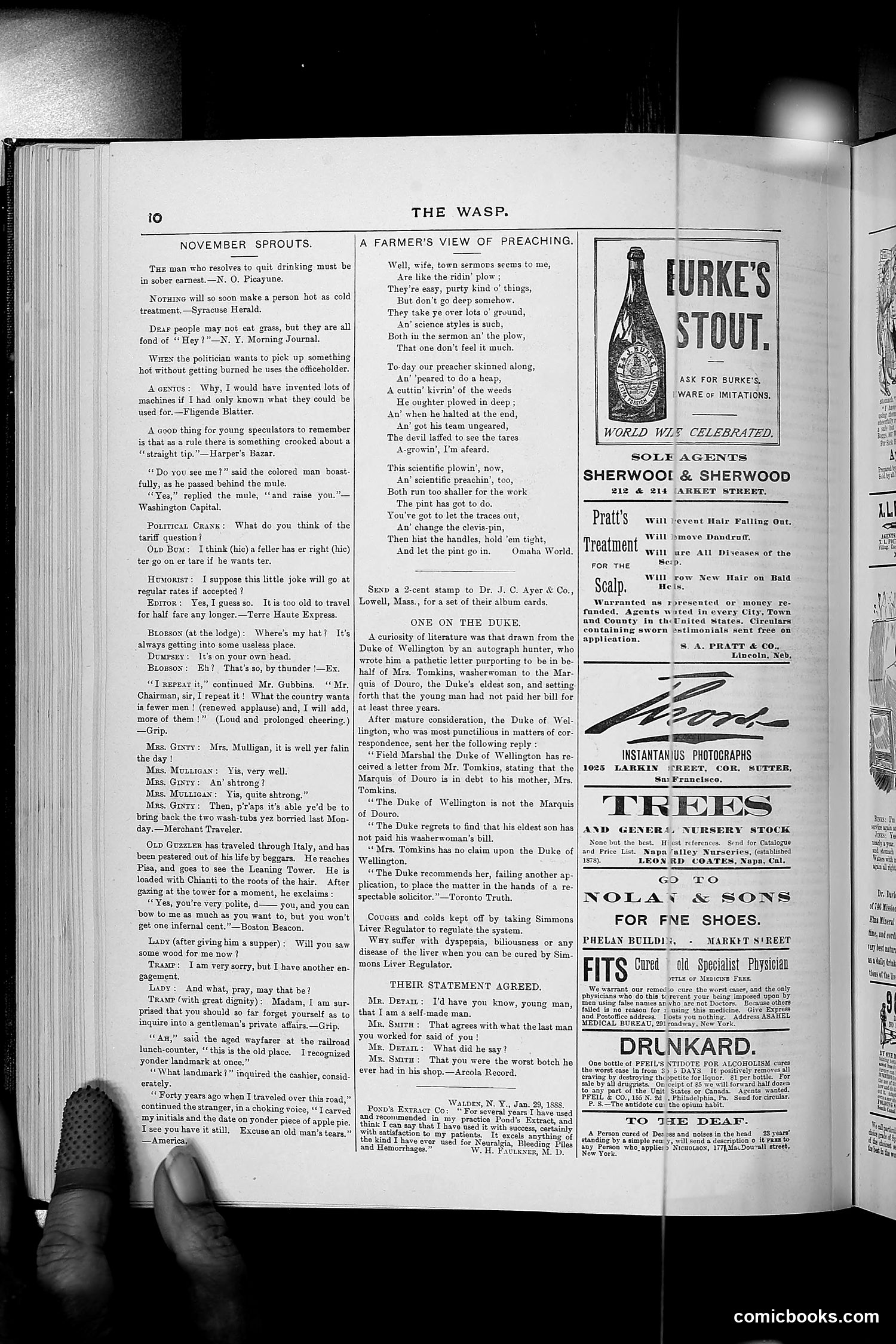 The Wasp — 1889 — page 357 of 450