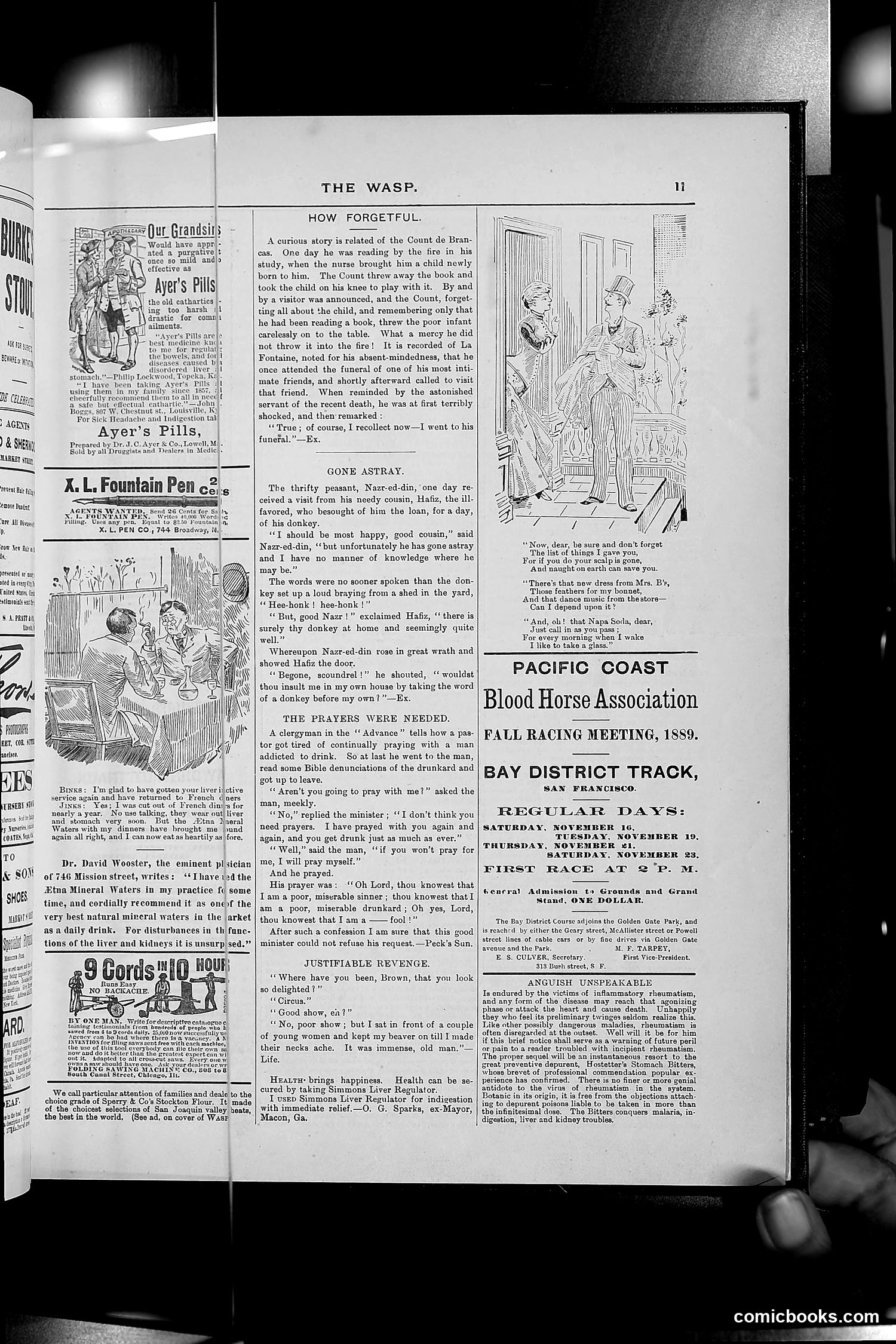 The Wasp — 1889 — page 358 of 450