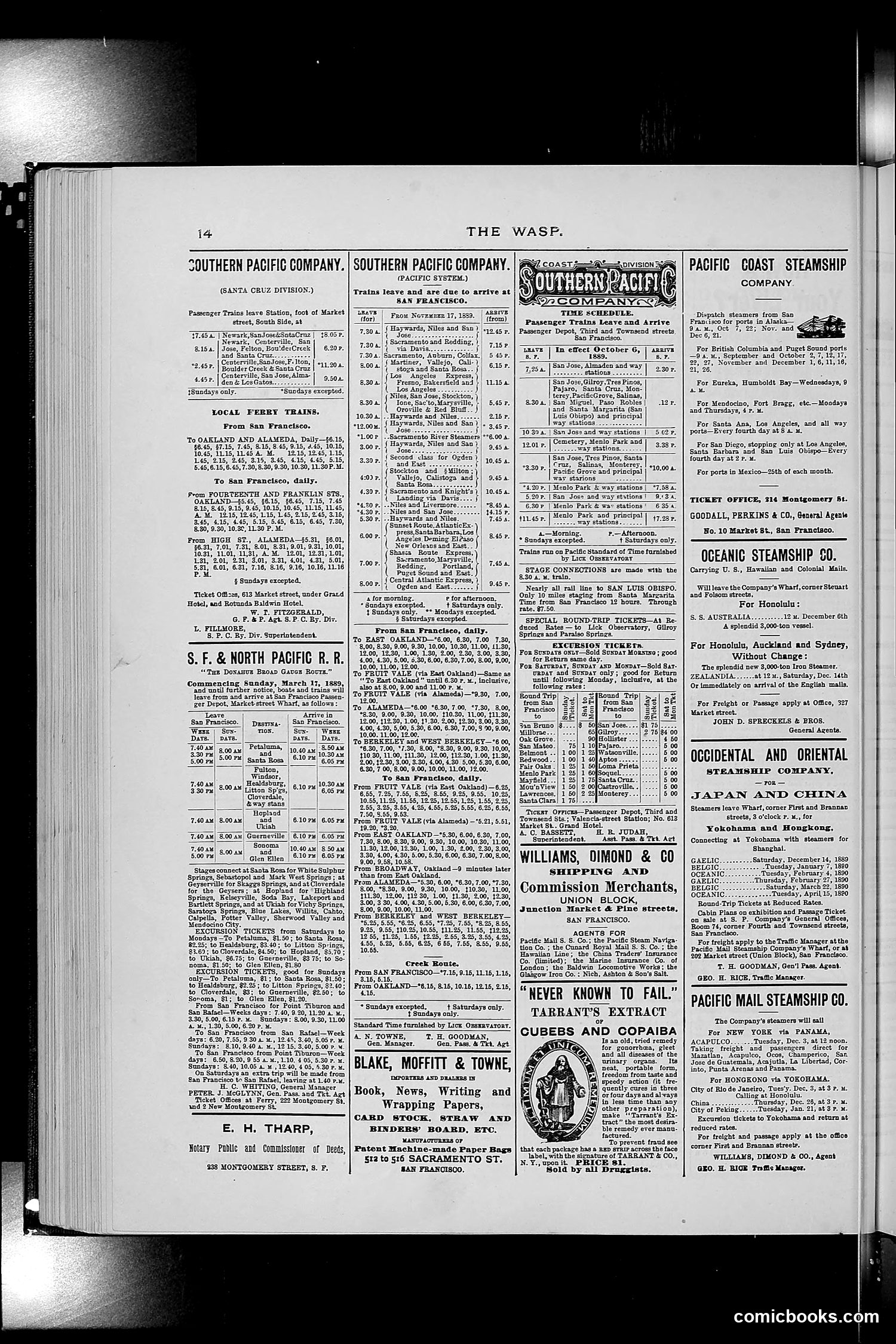 The Wasp — 1889 — page 381 of 450