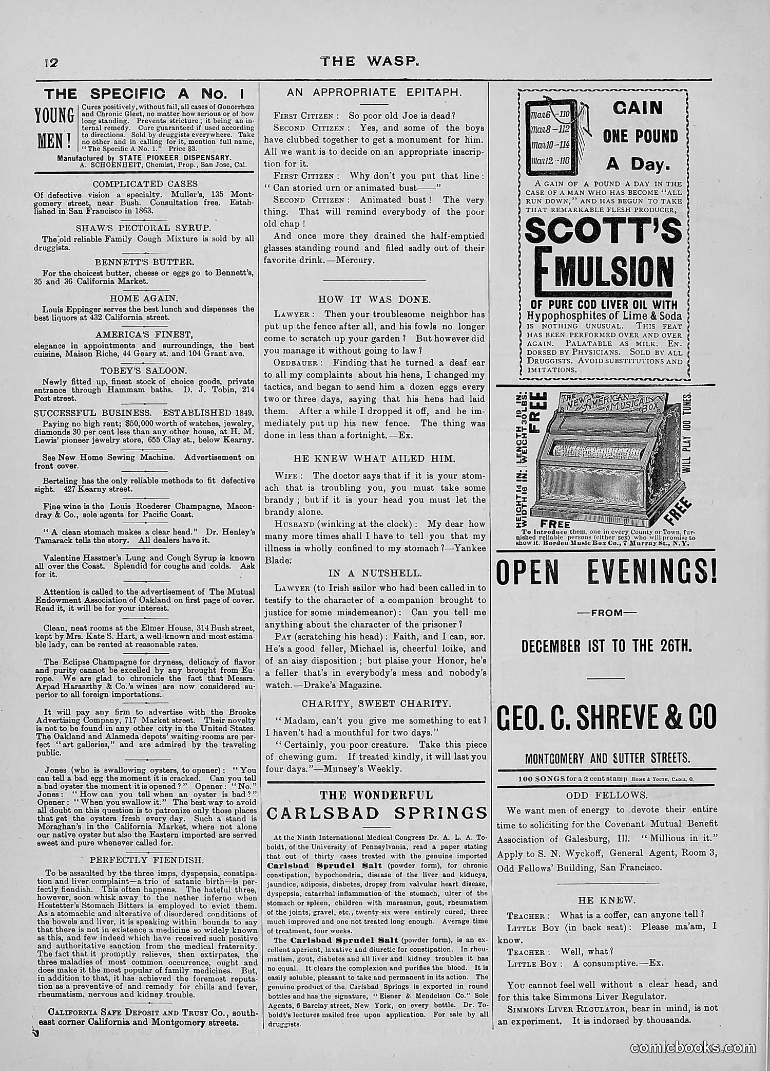 The Wasp — 1889 — page 397 of 450