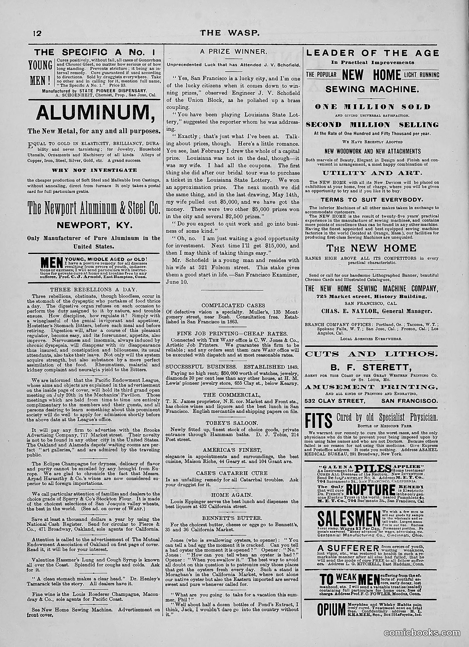 The Wasp — 1889 — page 41 of 450