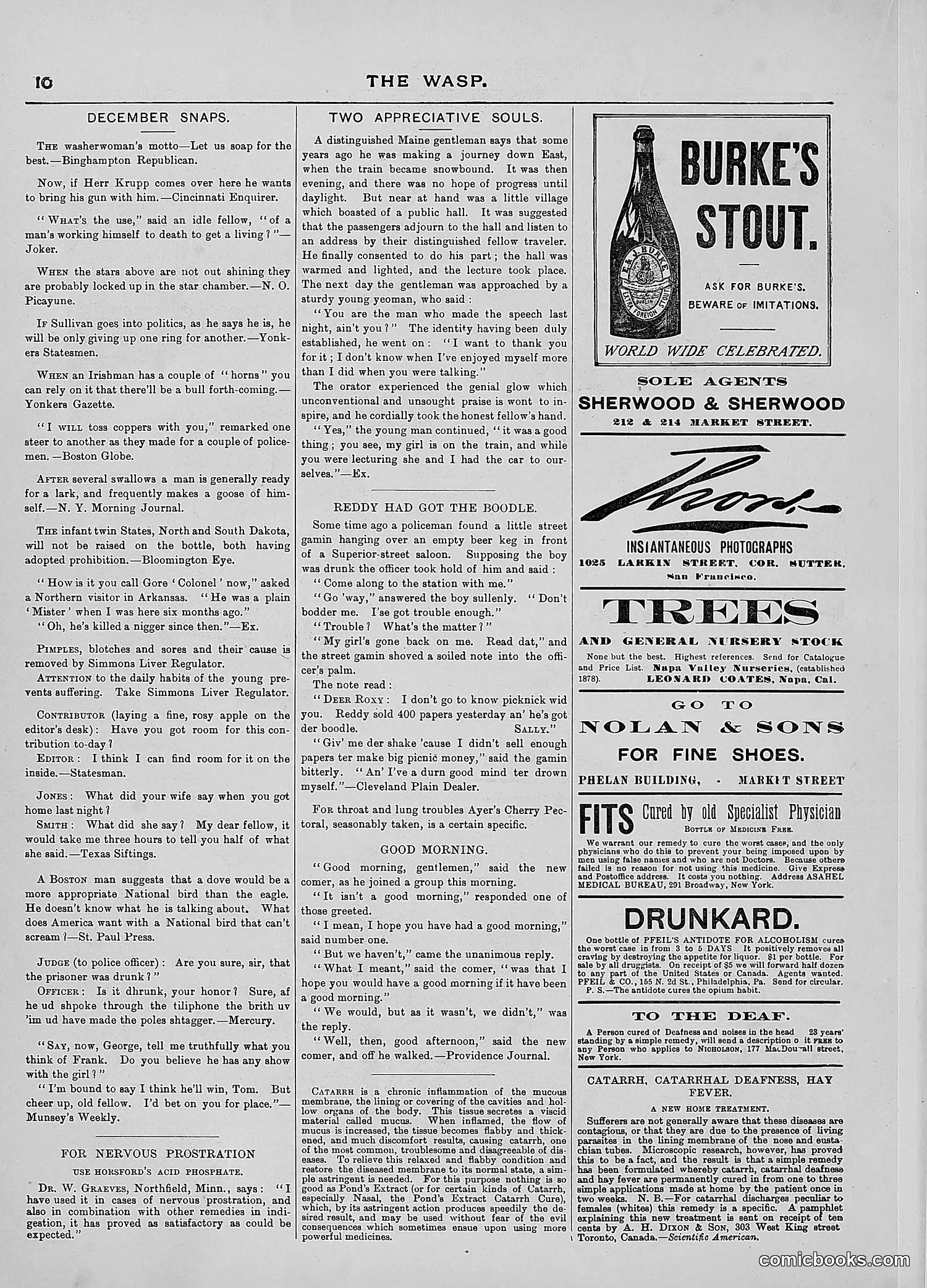 The Wasp — 1889 — page 411 of 450