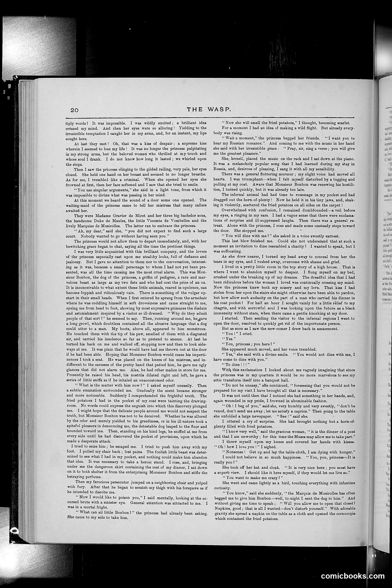 The Wasp — 1889 — page 429 of 450