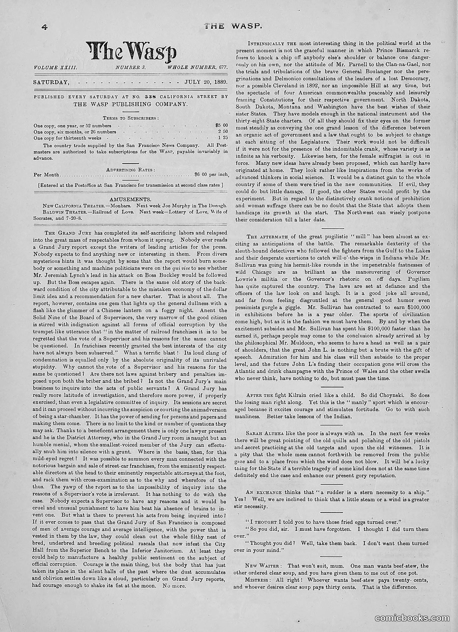 The Wasp — 1889 — page 49 of 450