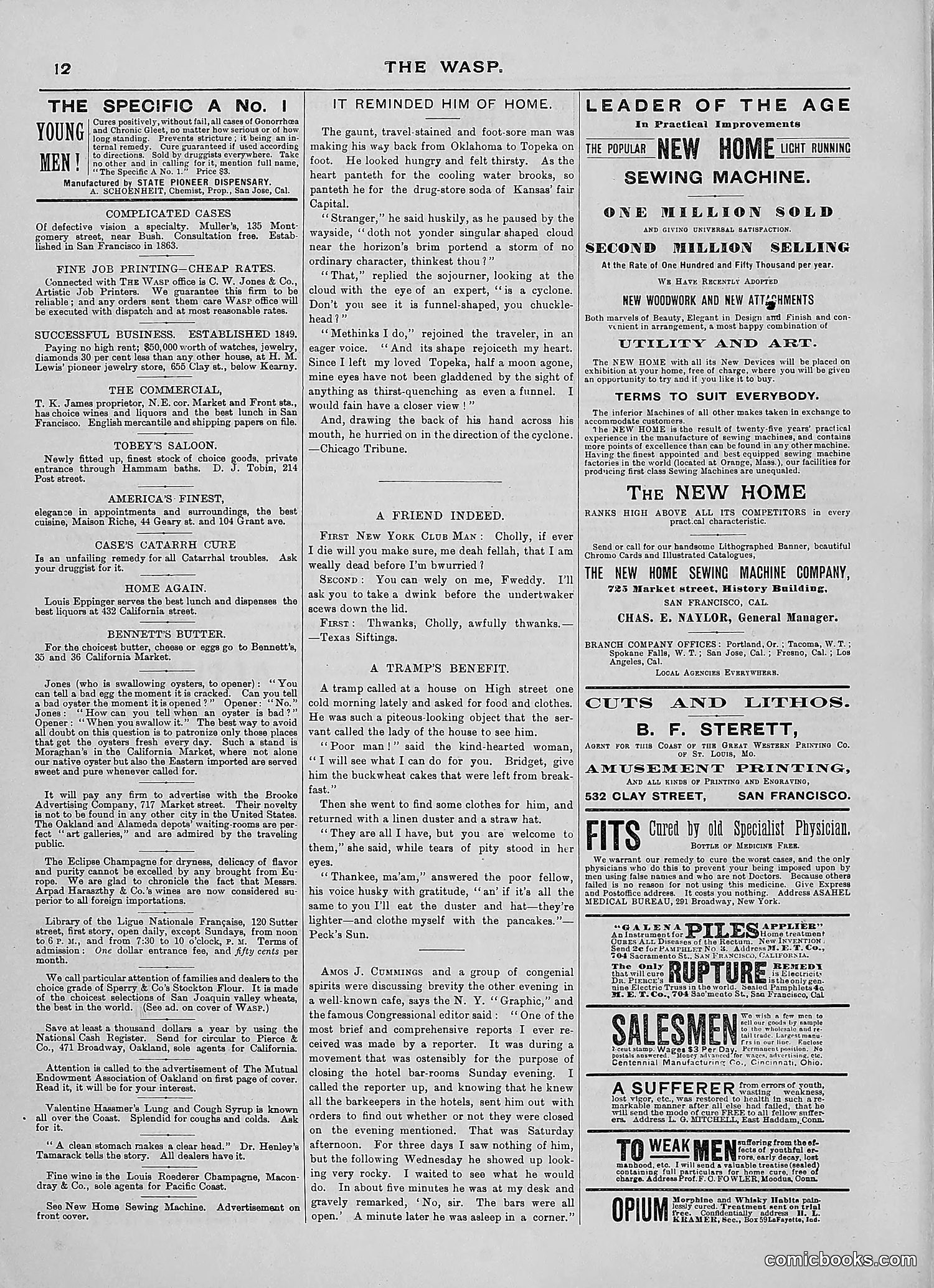 The Wasp — 1889 — page 57 of 450