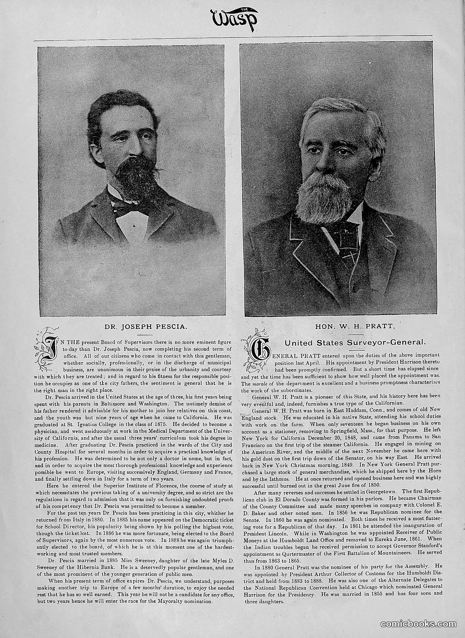 The Wasp — 1890 — page 9 of 504