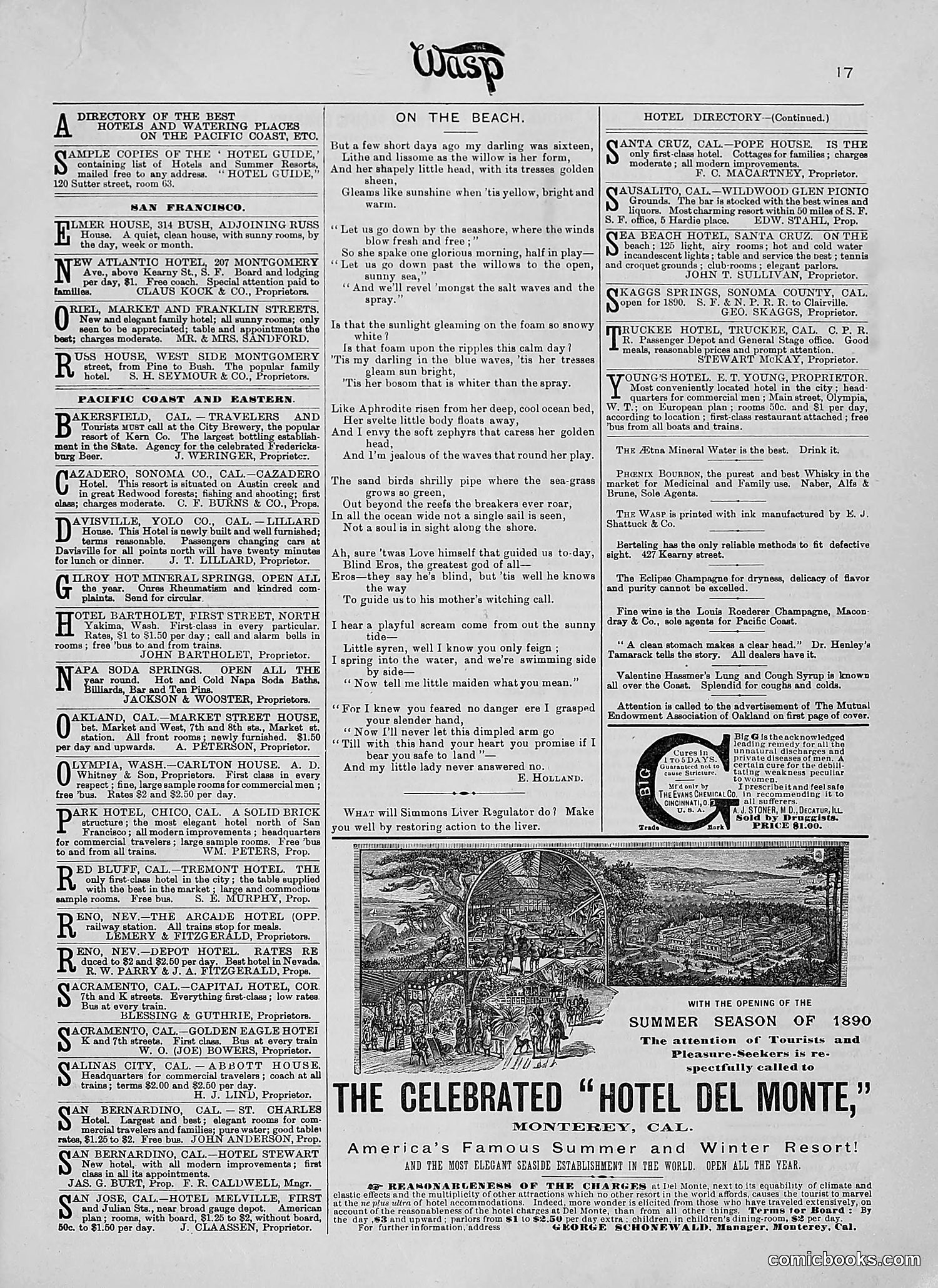 The Wasp — 1890 — page 108 of 504