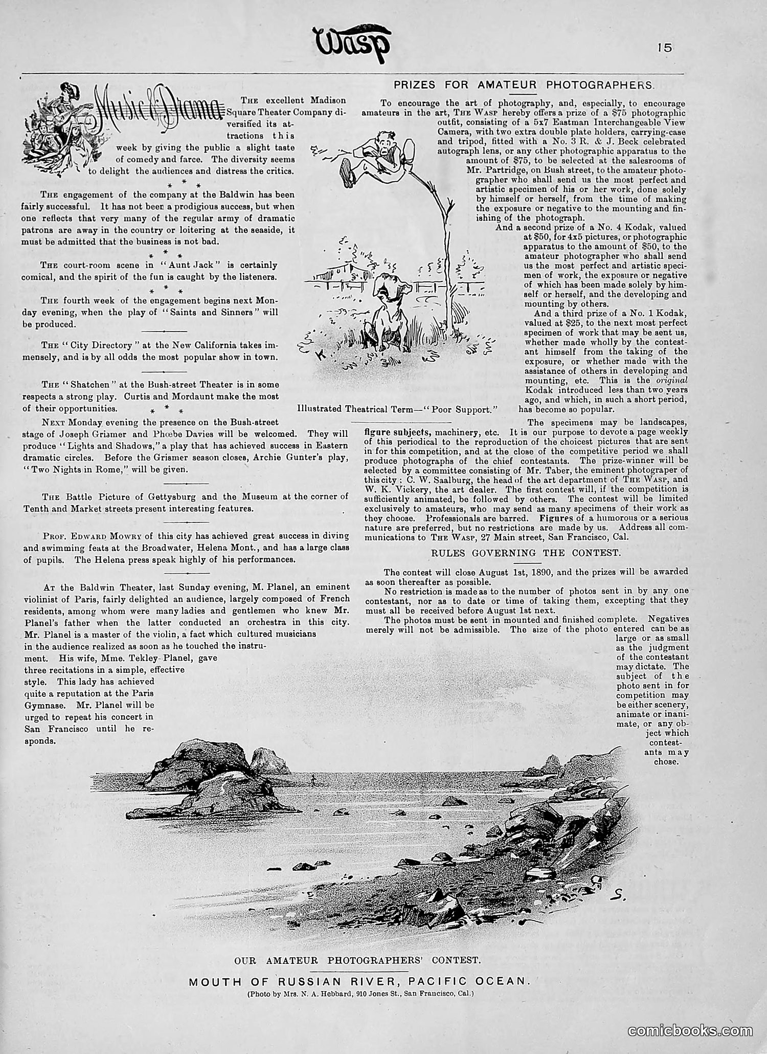 The Wasp — 1890 — page 126 of 504