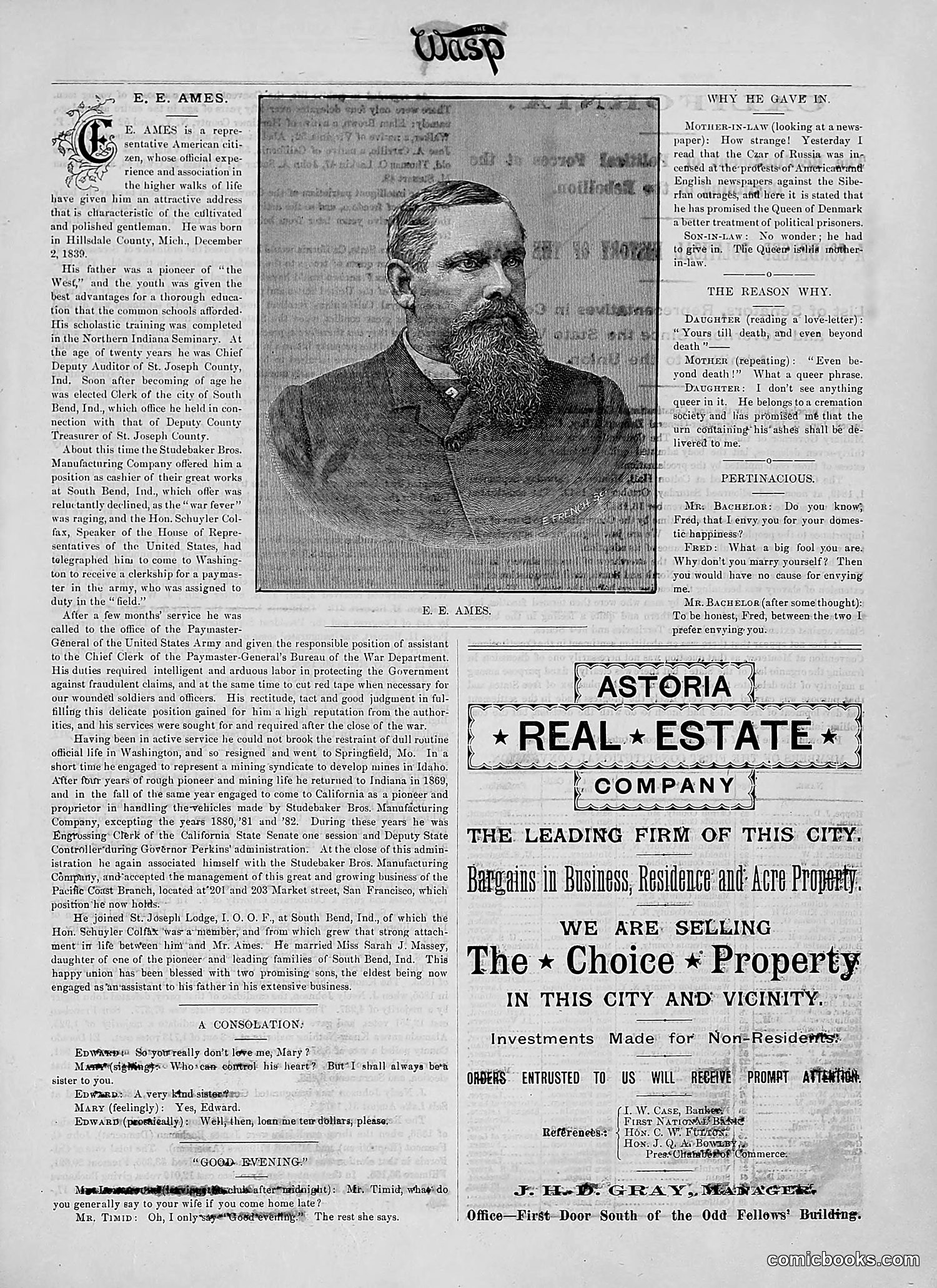 The Wasp — 1890 — page 14 of 504