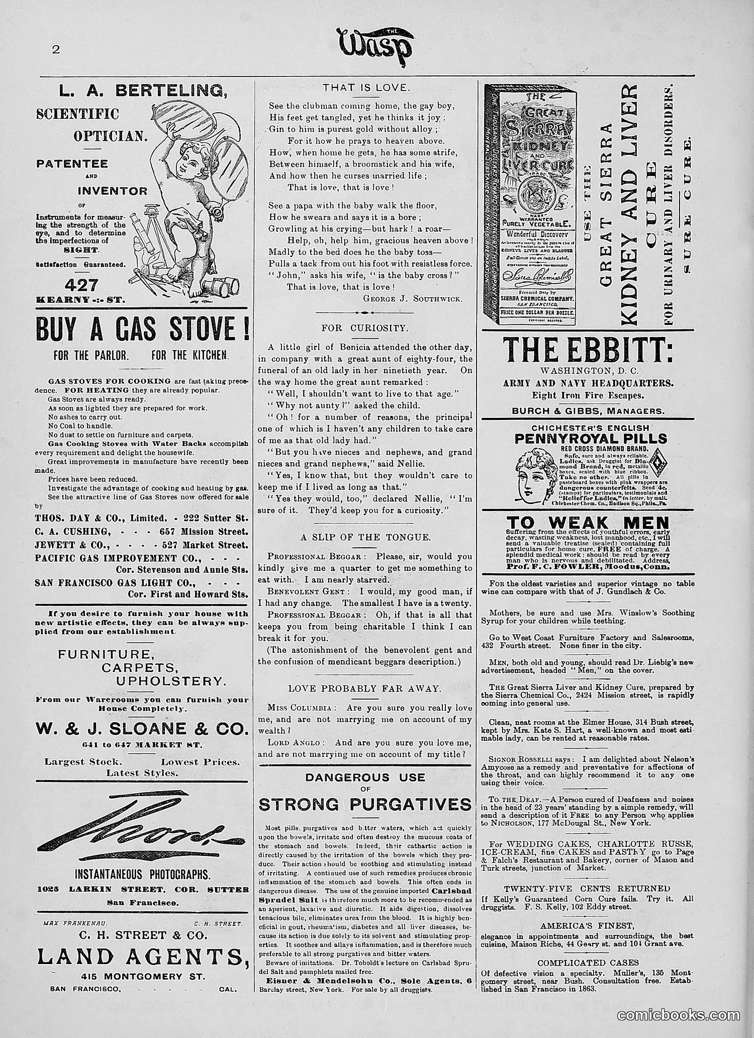 The Wasp — 1890 — page 133 of 504