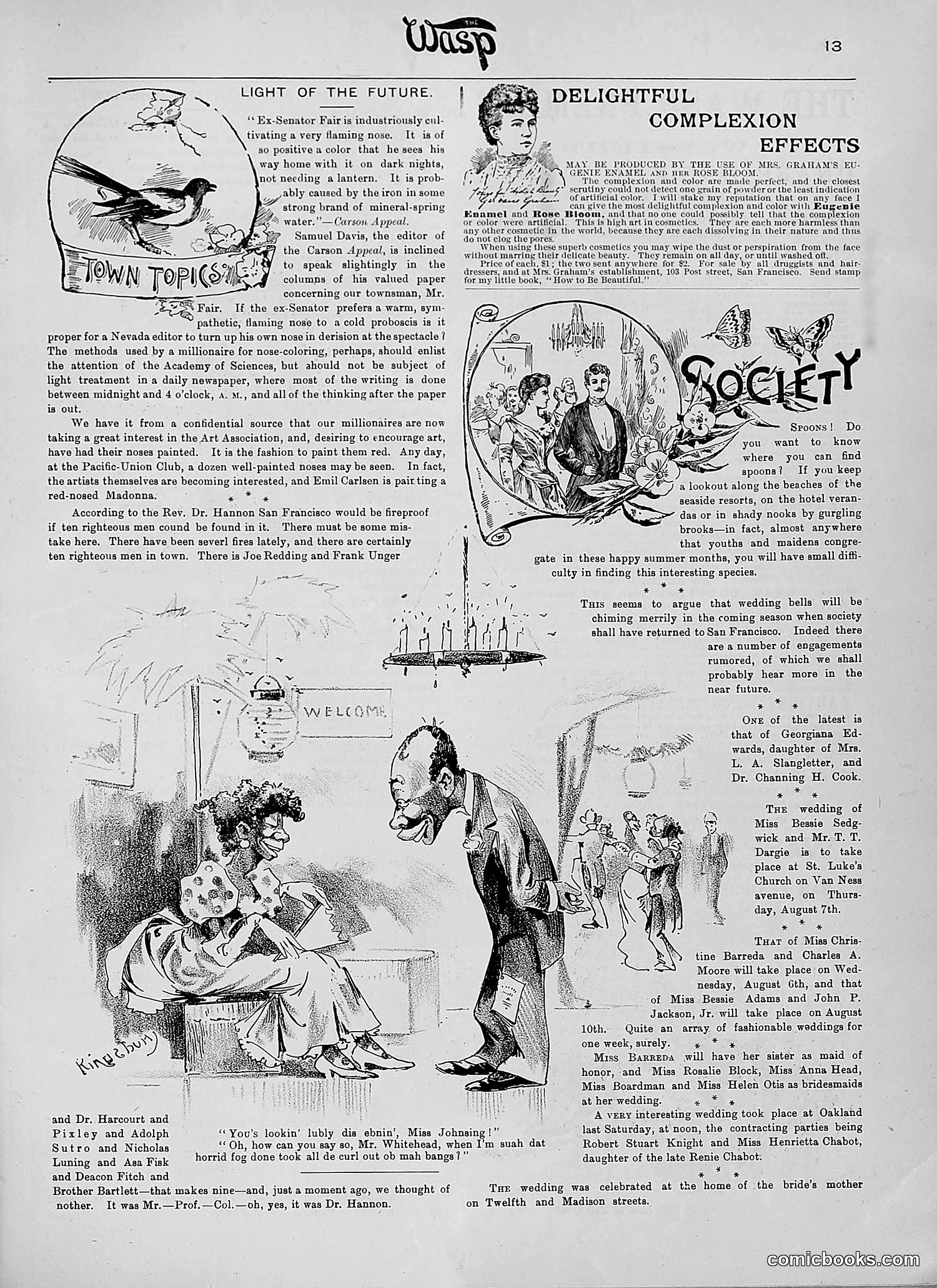 The Wasp — 1890 — page 144 of 504