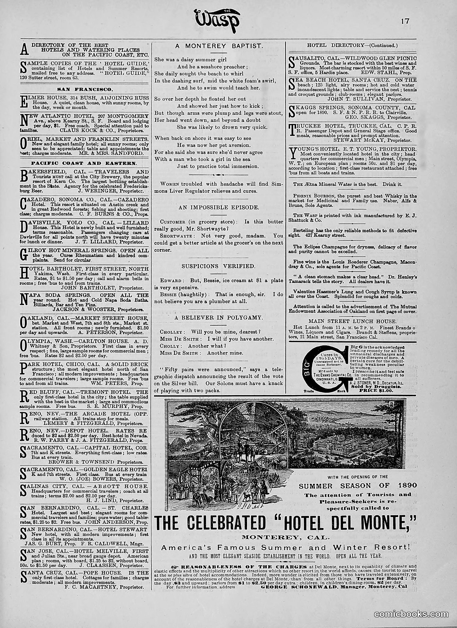 The Wasp — 1890 — page 148 of 504