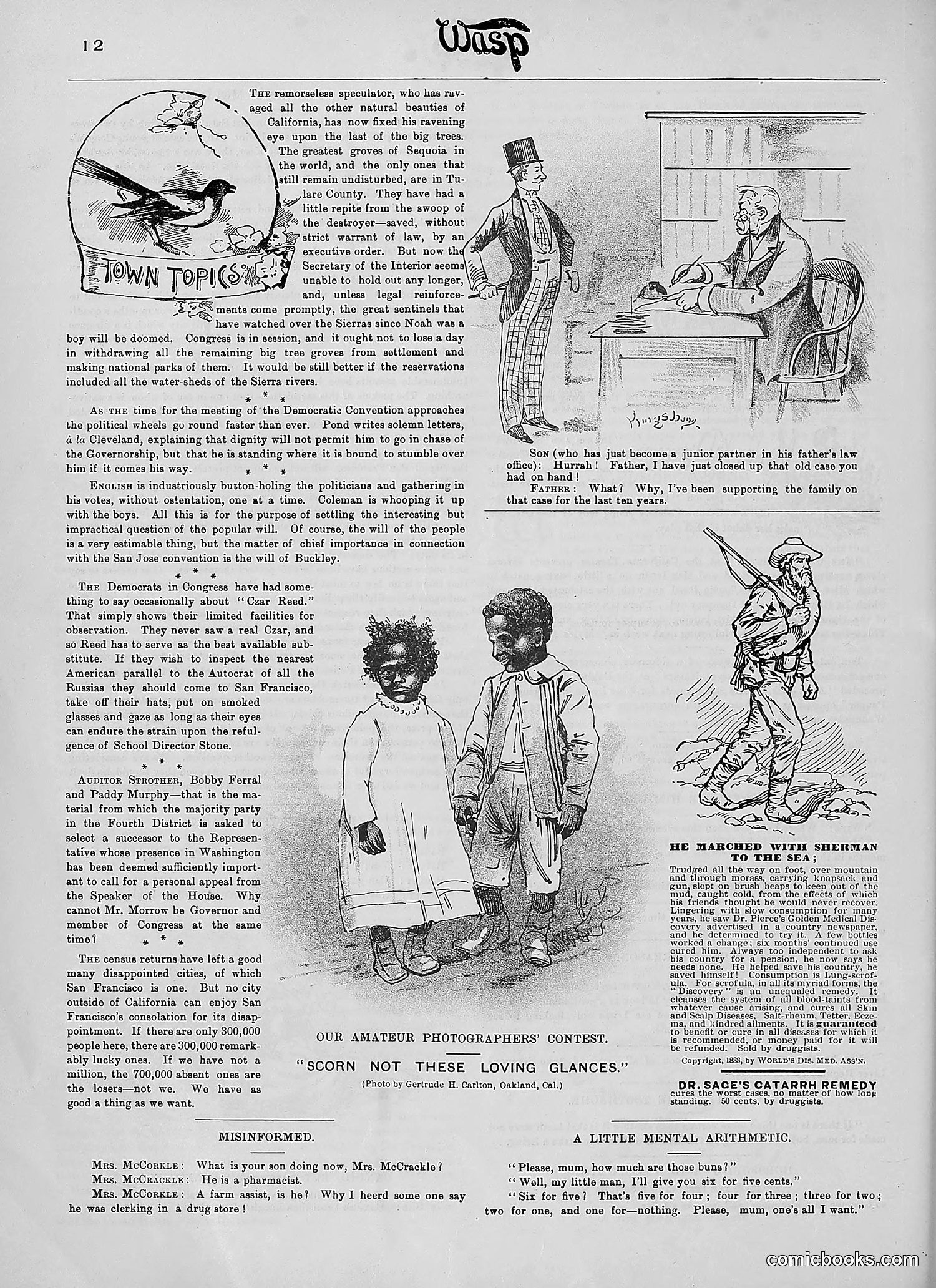 The Wasp — 1890 — page 163 of 504