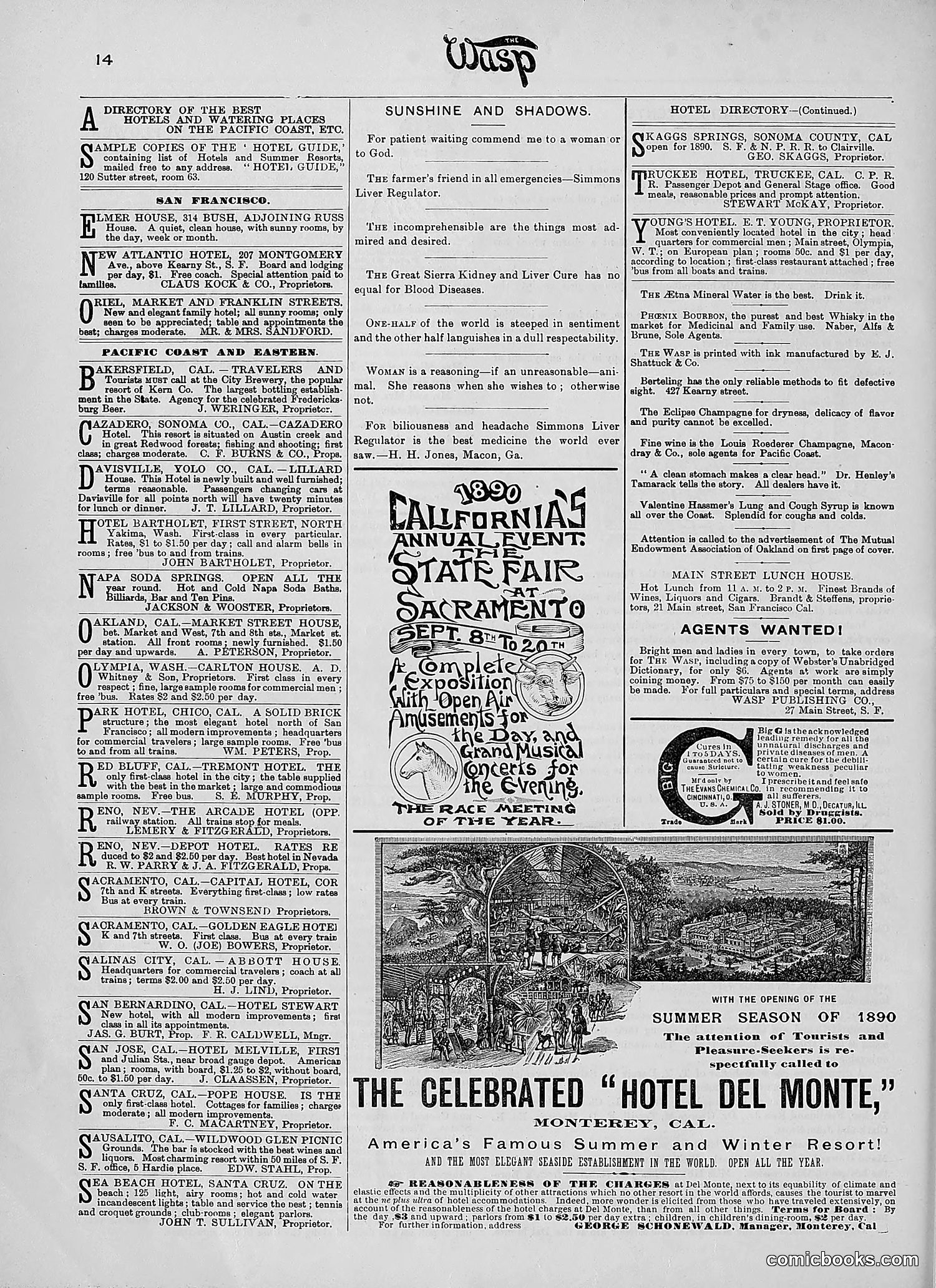 The Wasp — 1890 — page 165 of 504