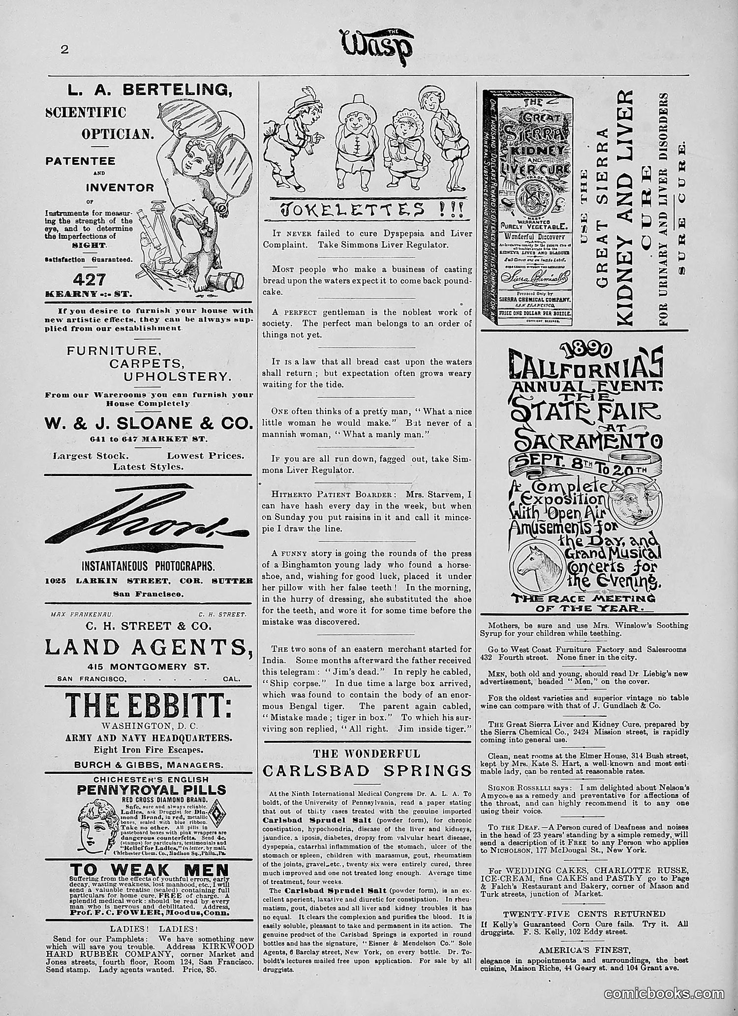 The Wasp — 1890 — page 169 of 504