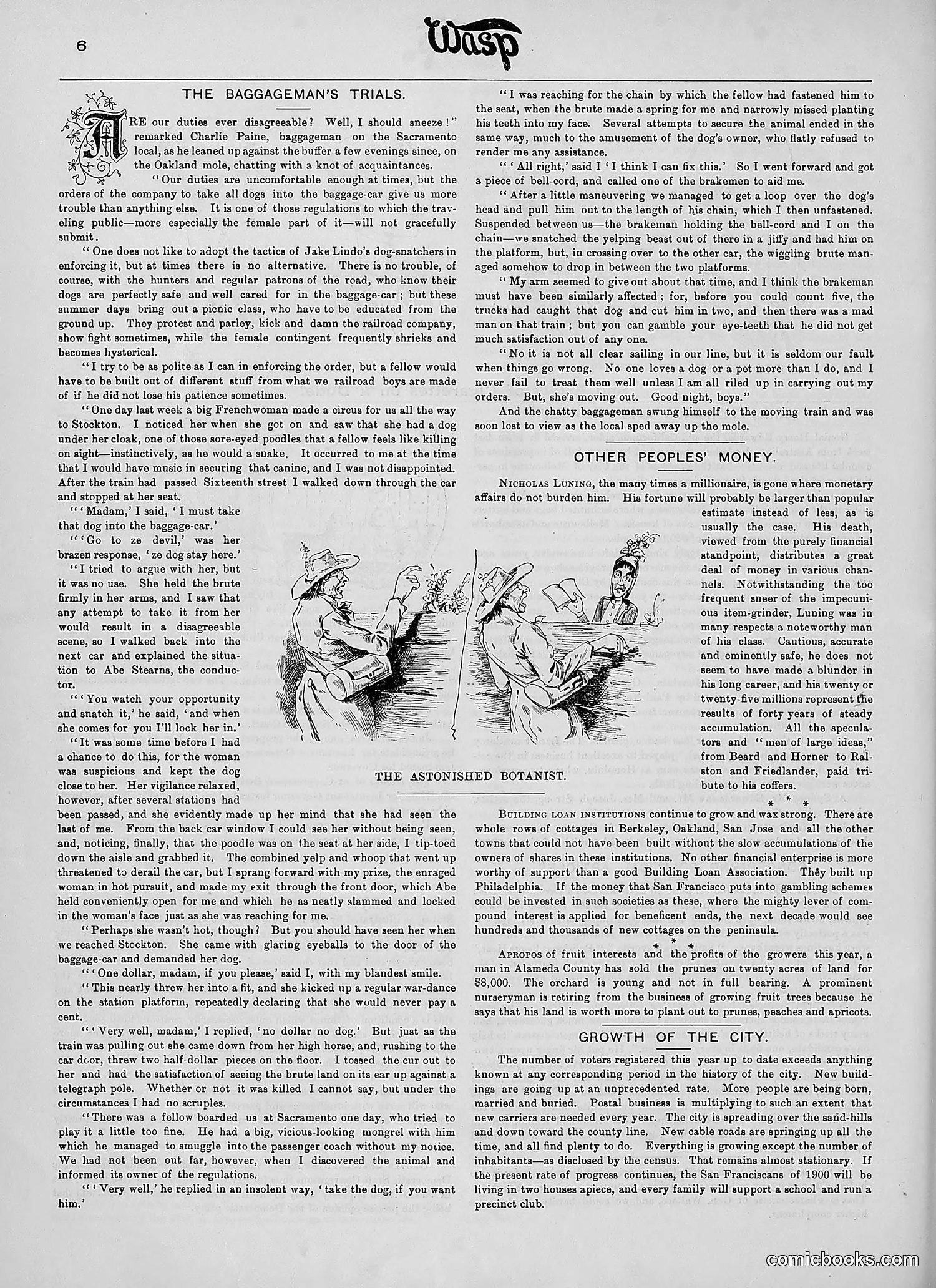 The Wasp — 1890 — page 173 of 504