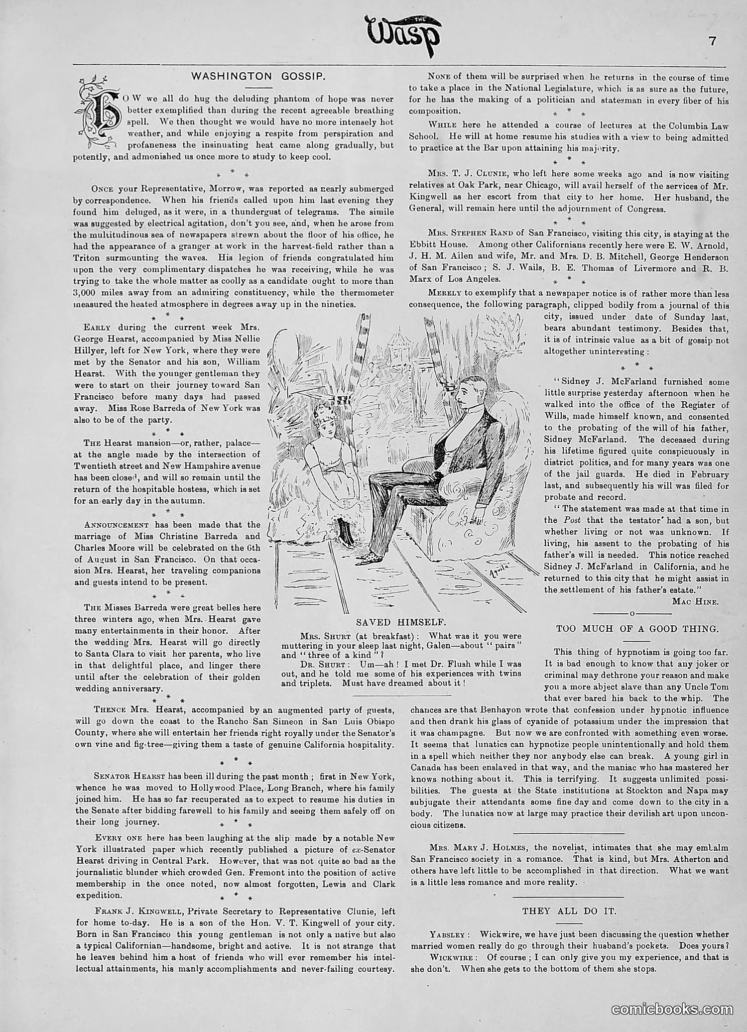 The Wasp — 1890 — page 174 of 504