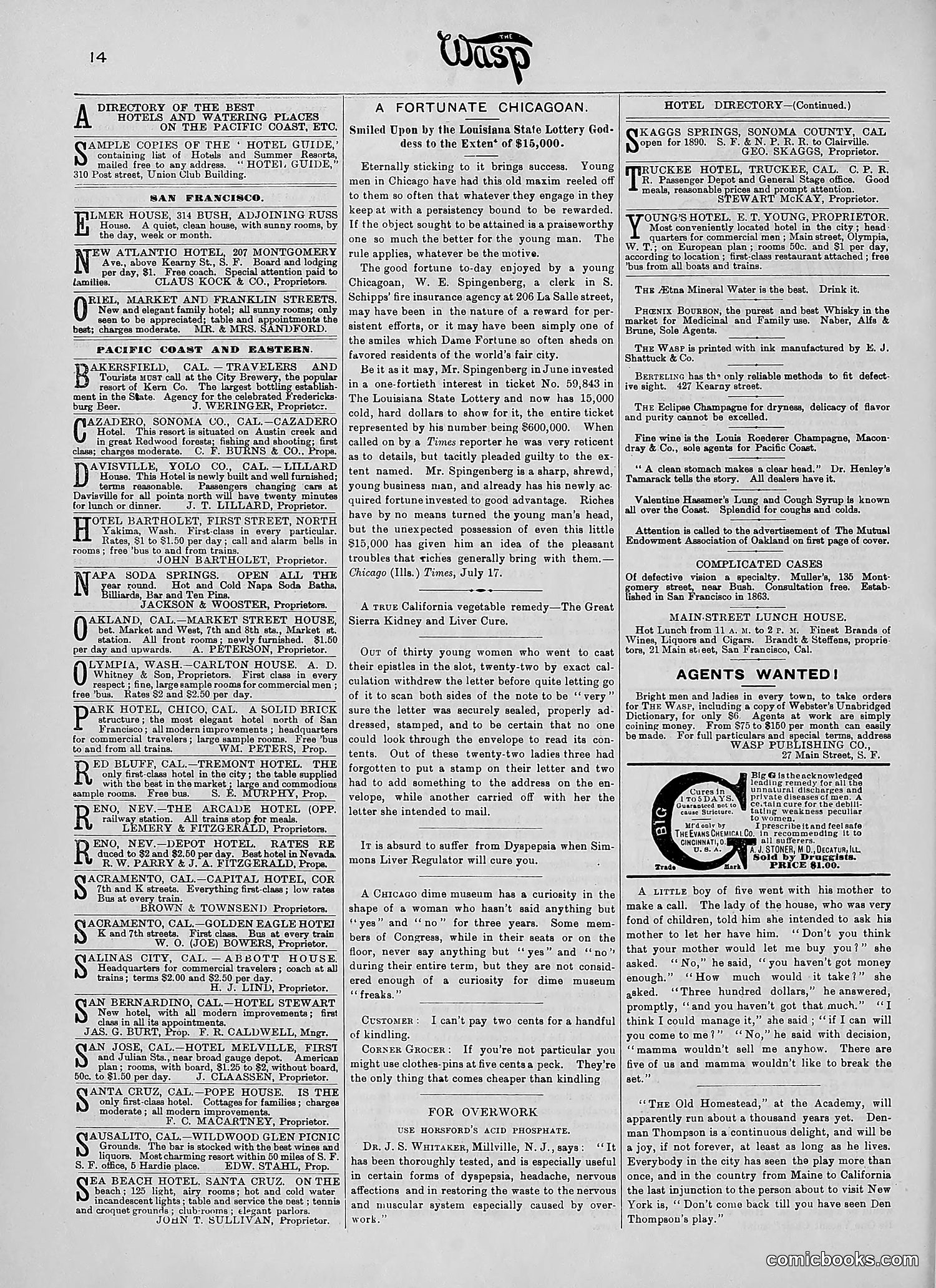 The Wasp — 1890 — page 181 of 504